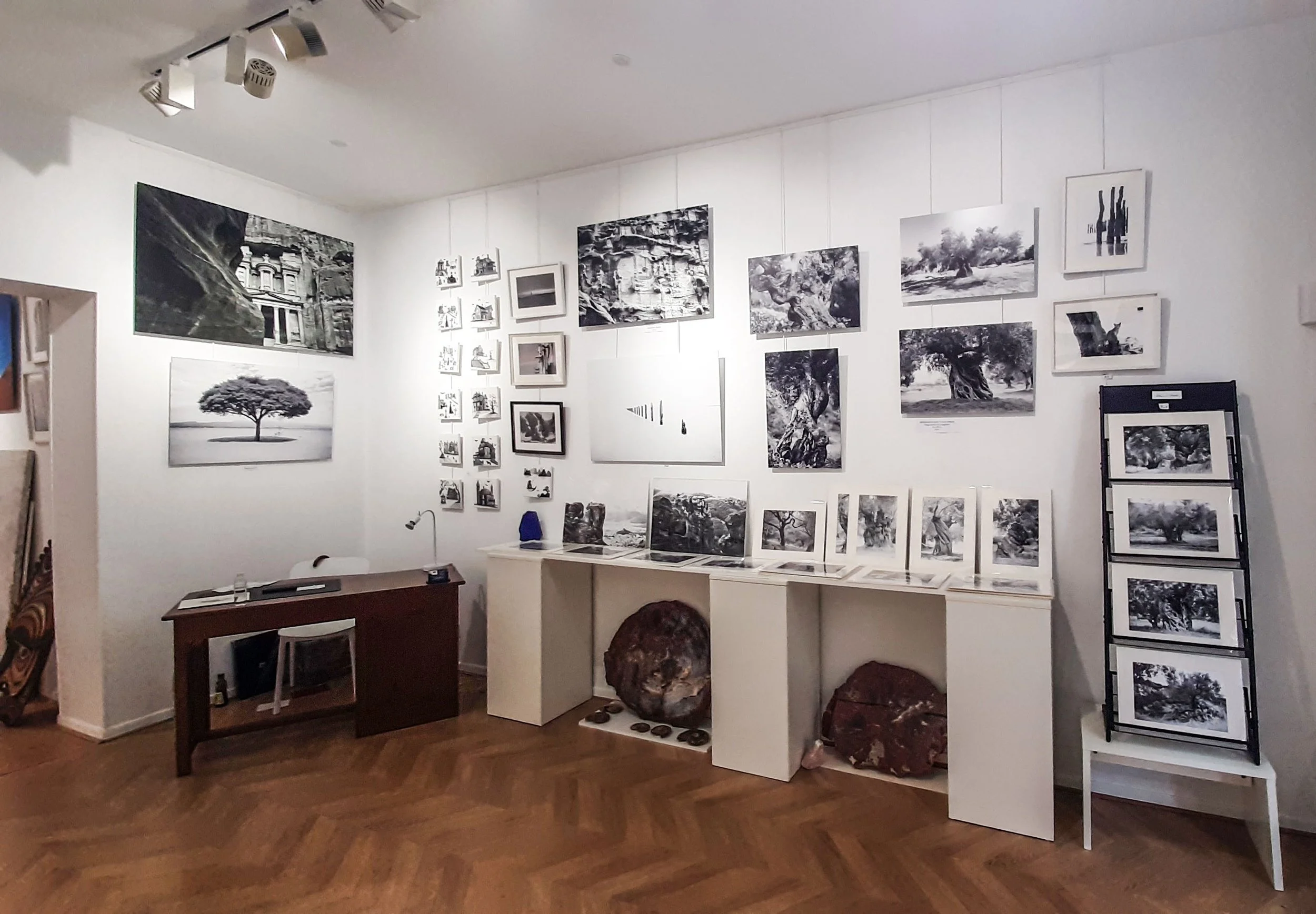 Exposition d’art avec de nombreuses photographies en noir et blanc de paysages et d’arbres, présentées sur des murs, une table et des étagères dans une pièce bien éclairée.