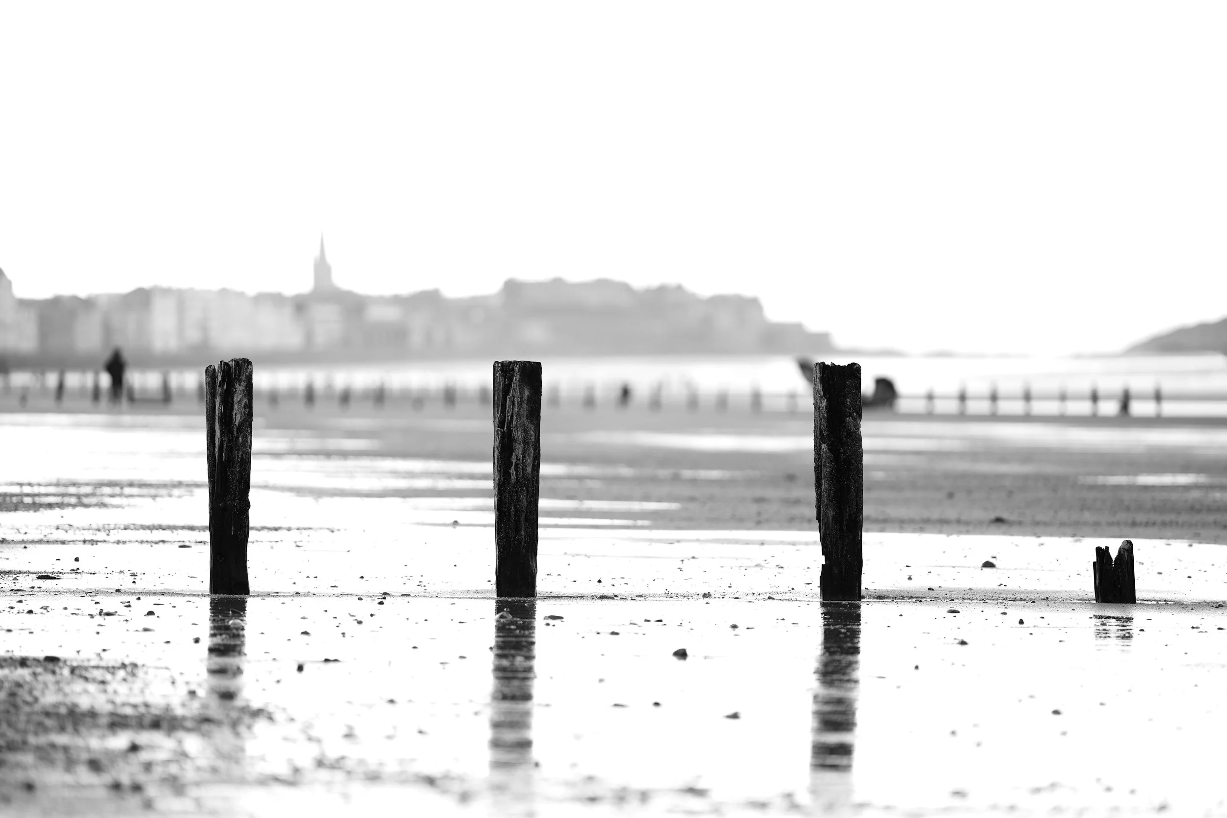 Plage avec des morceaux de bois émergeant de l'eau, ville en arrière-plan, en noir et blanc.