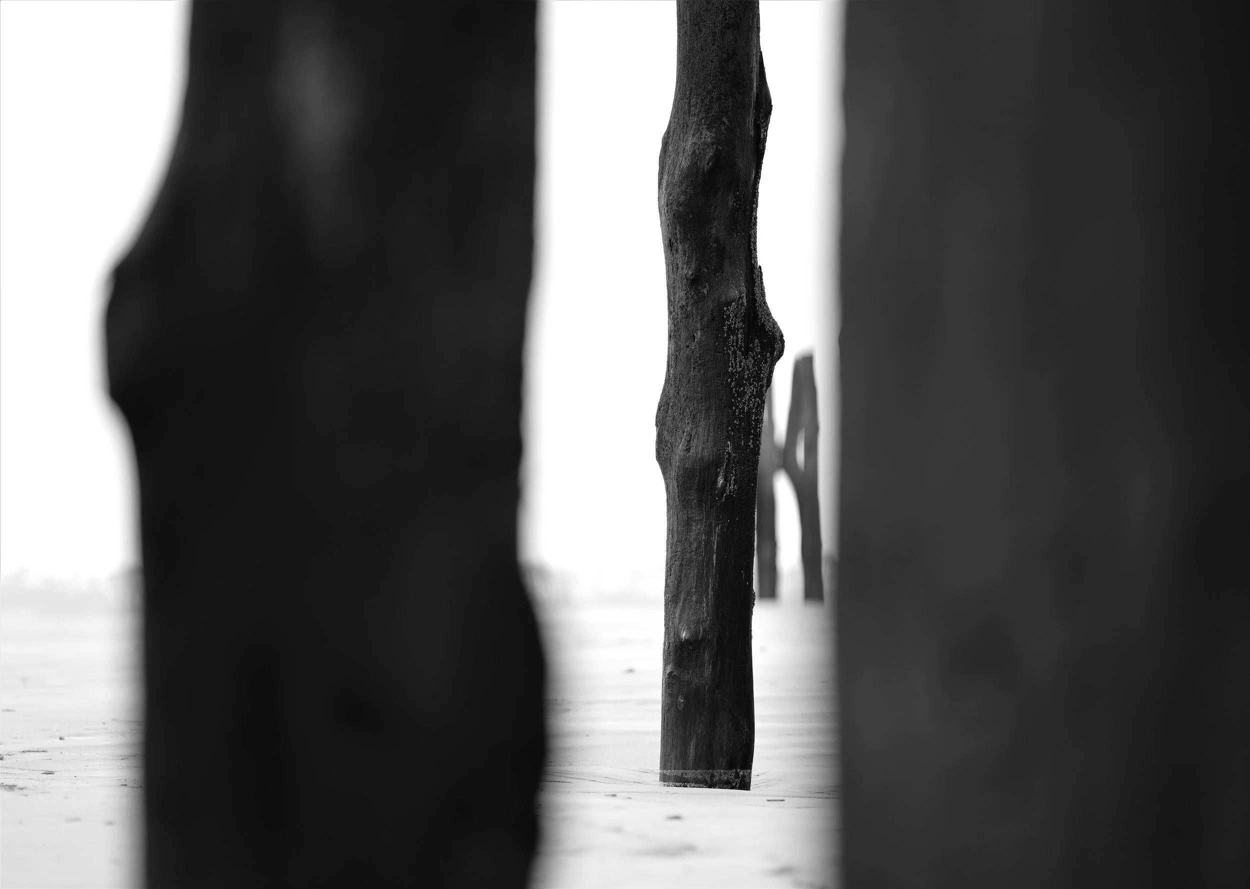 Une photographie en noir et blanc de plusieurs objets en bois, dont une grande pièce centrale au fond et des morceaux plus petits au premier plan, dans un espace intérieur ou extérieur.
