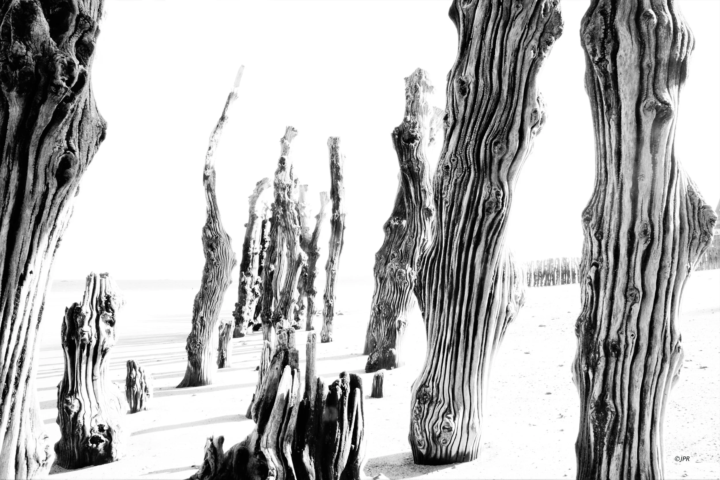 Palmiers en bois sculptés sur une plage de sable blanc avec un ciel clair