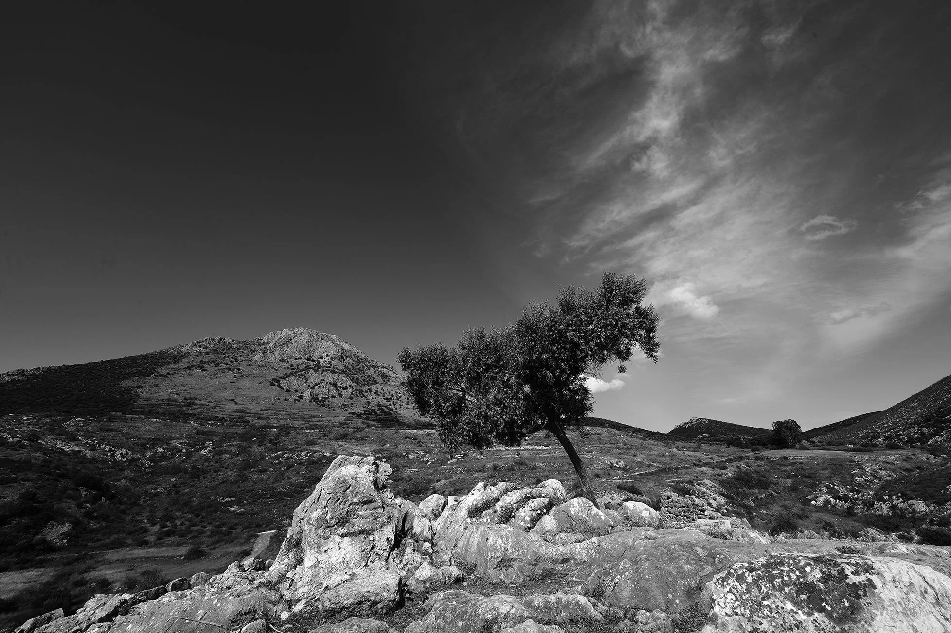 paysage montagneux rocheux avec un arbre seul sur un rocher dans un paysage en noir et blanc