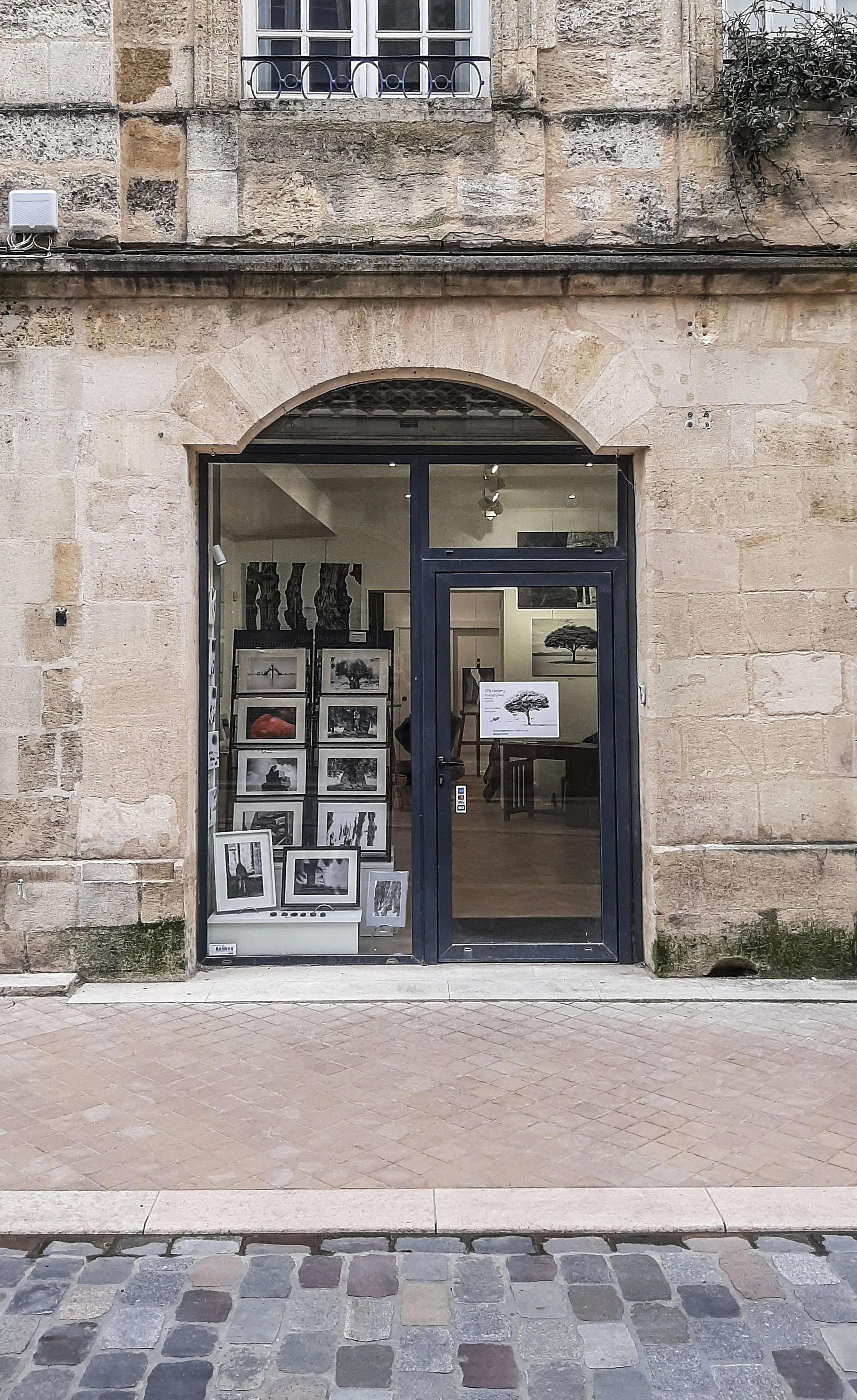 Une devanture d'une galerie d'art avec des tableaux en noir et blanc exposés dans la vitrine, un panneau avec une illustration d'un arbre et le nom de la galerie.