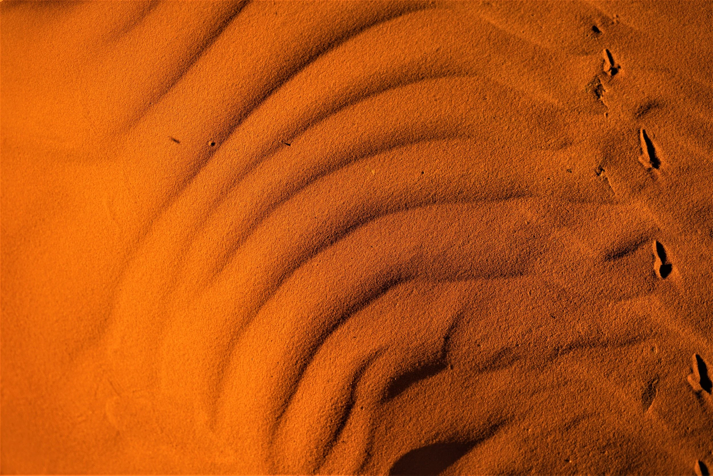 Traces de pas dans le sable orange du désert, création de motifs ondulés sur une surface de dunes.