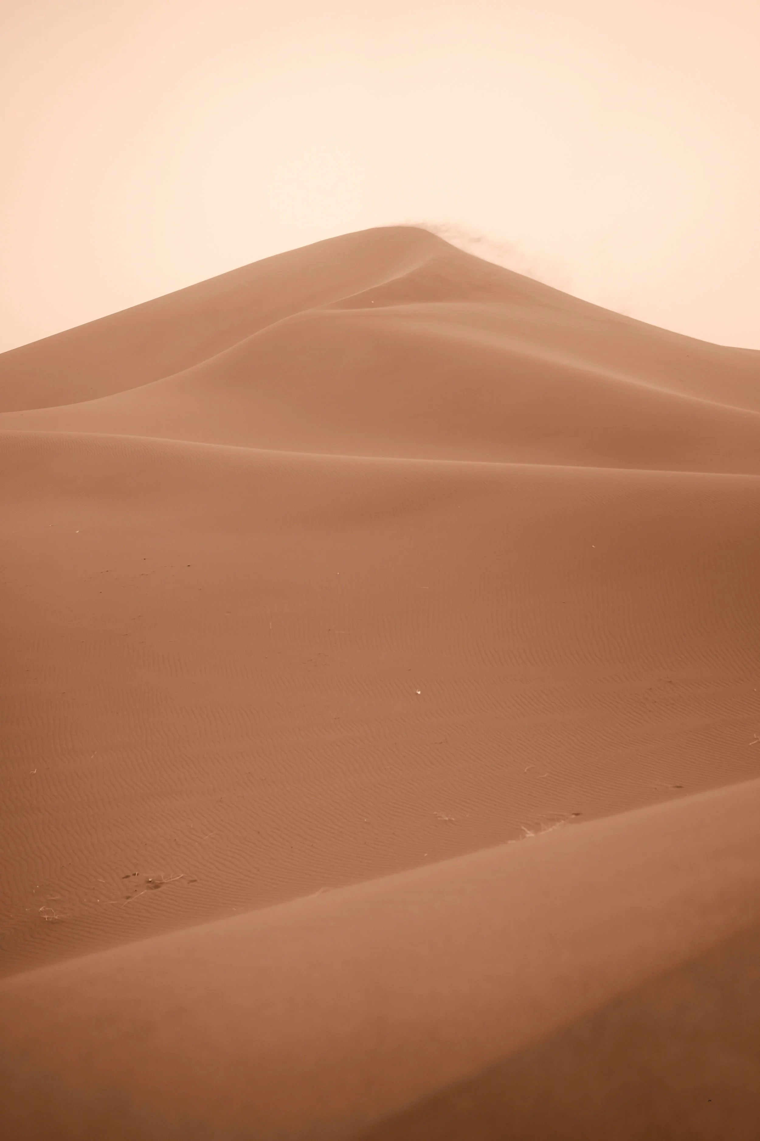 Dunes de sable dans un désert, sommet d'une dune avec du vent.