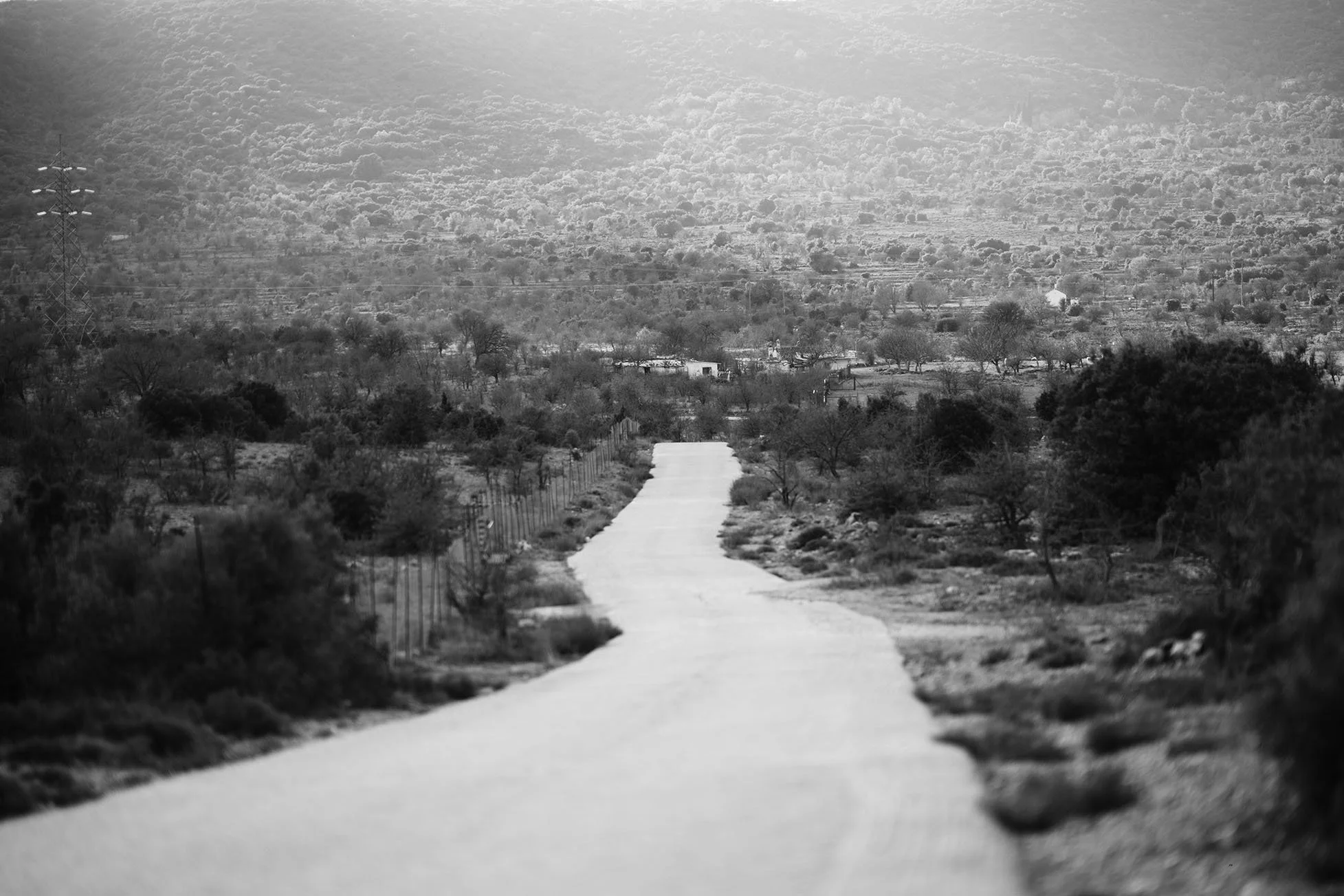 Une route droite passant par un paysage désertique avec peu d'arbres, sous un ciel nuageux, en noir et blanc.