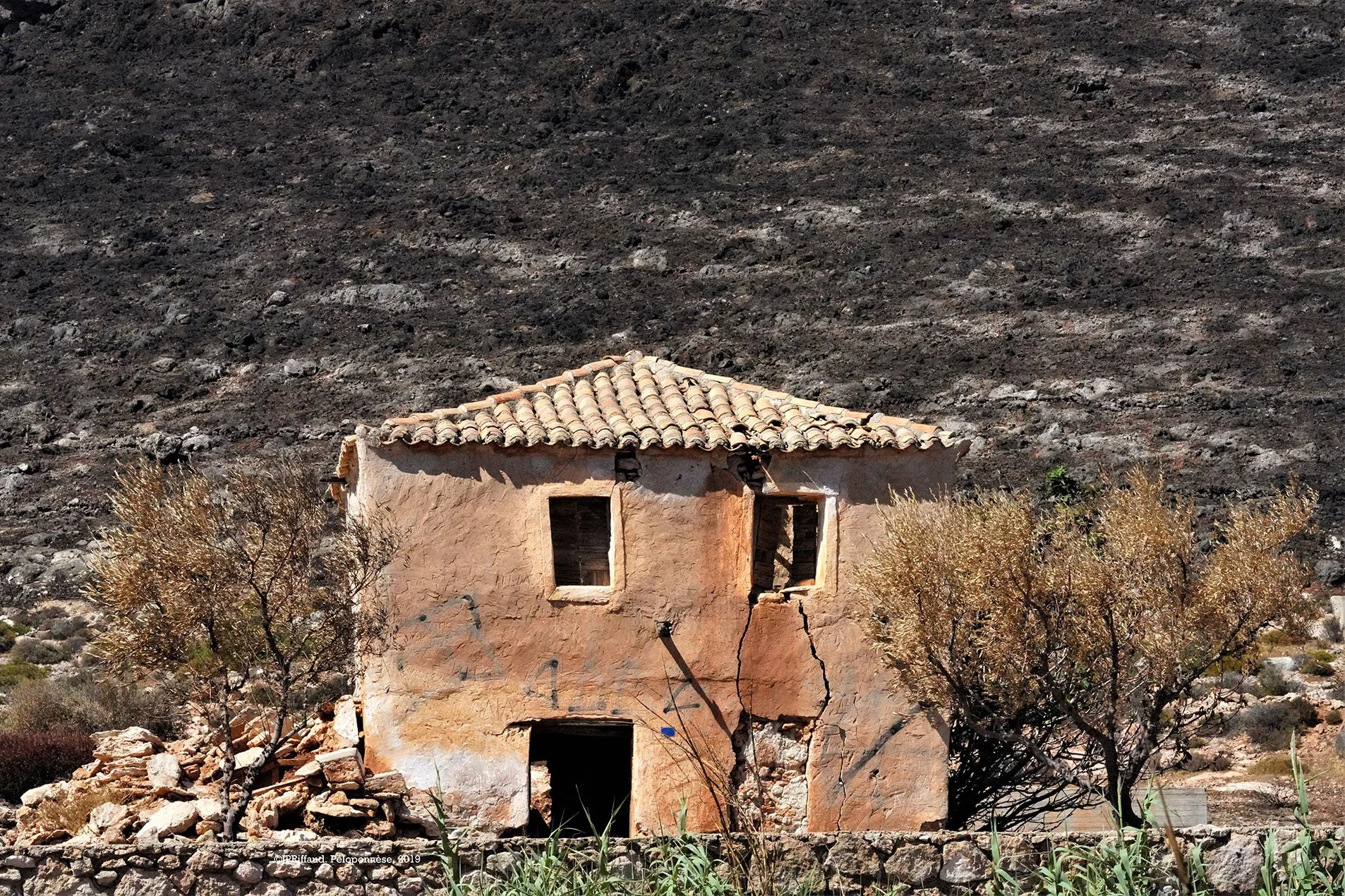 Une vieille maison en adobe avec un toit en tuiles, entourée de deux arbustes et des rochers, contre un paysage rocheux en arrière-plan.