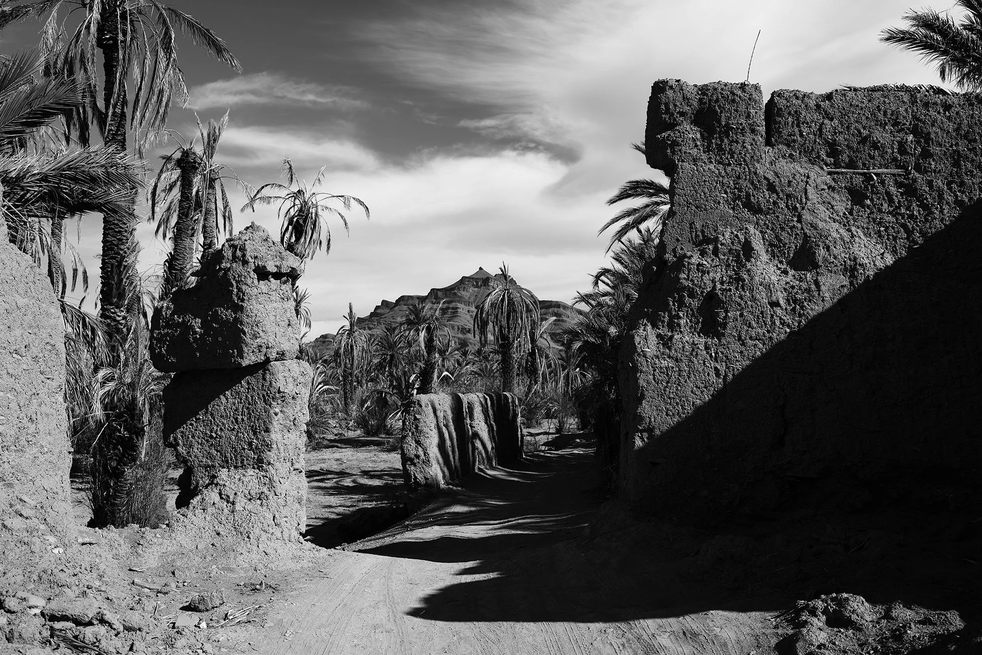 Un paysage désertique avec des structures en pierre, des palmiers et une montagne en arrière-plan, en noir et blanc.