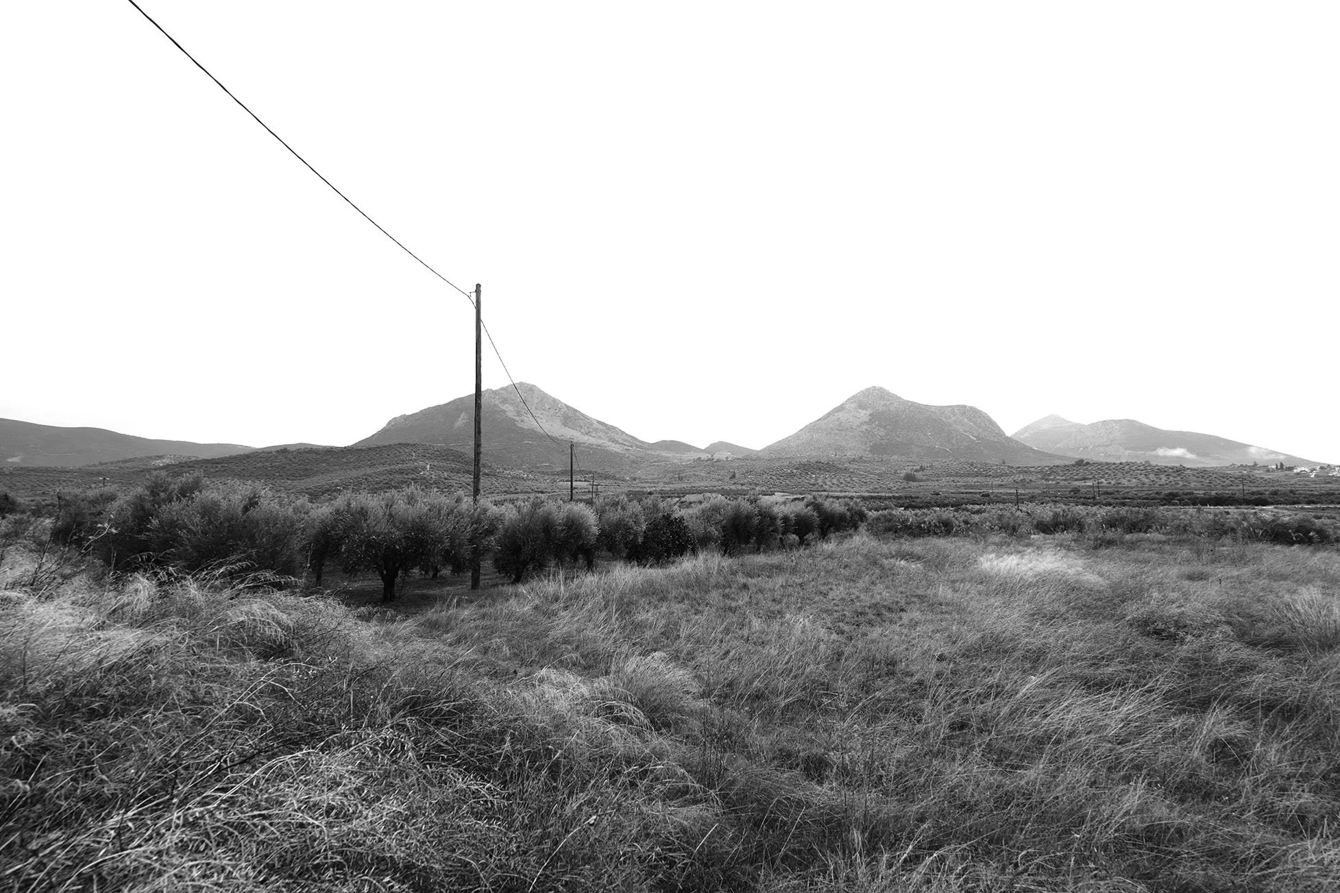 Paysage rural avec des montagnes en arrière-plan, des arbres et de hautes herbes au premier plan, et des poteaux électriques traversant la scène.