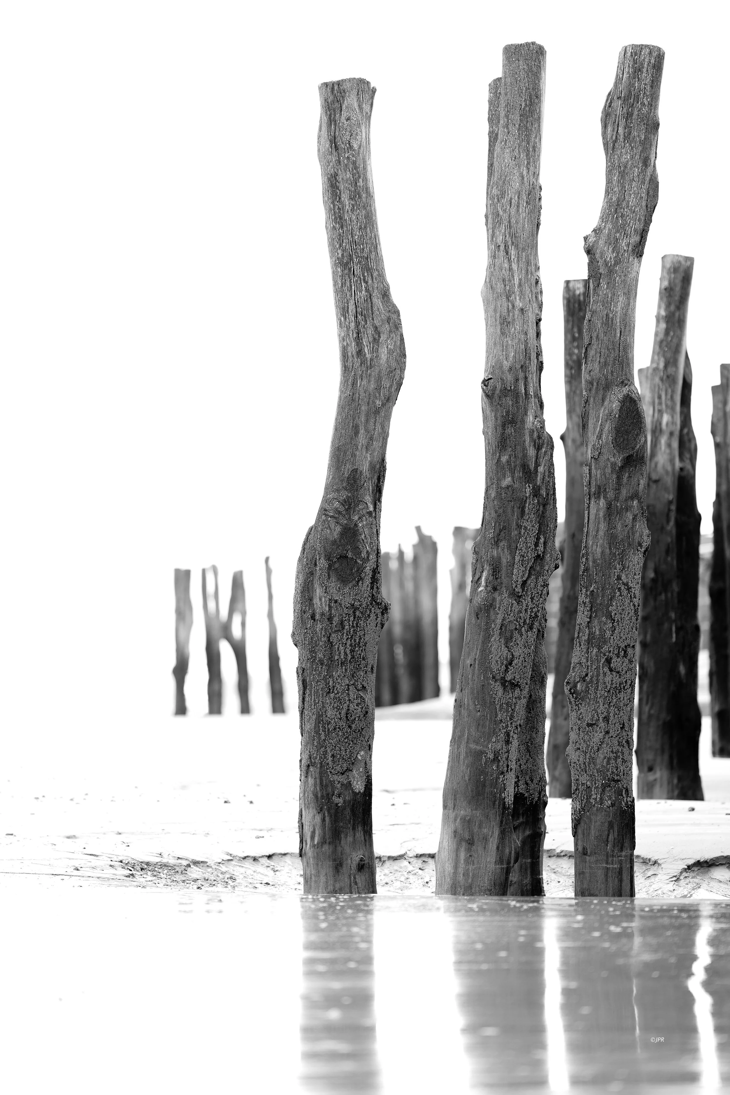 Des piquets en bois plantés dans le sable, se reflétant dans l'eau, en noir et blanc.