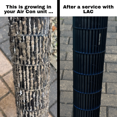 Comparison of an air conditioning unit after a service showing mold and debris on the coils on the left, and a clean, freshly serviced air conditioning unit on the right.