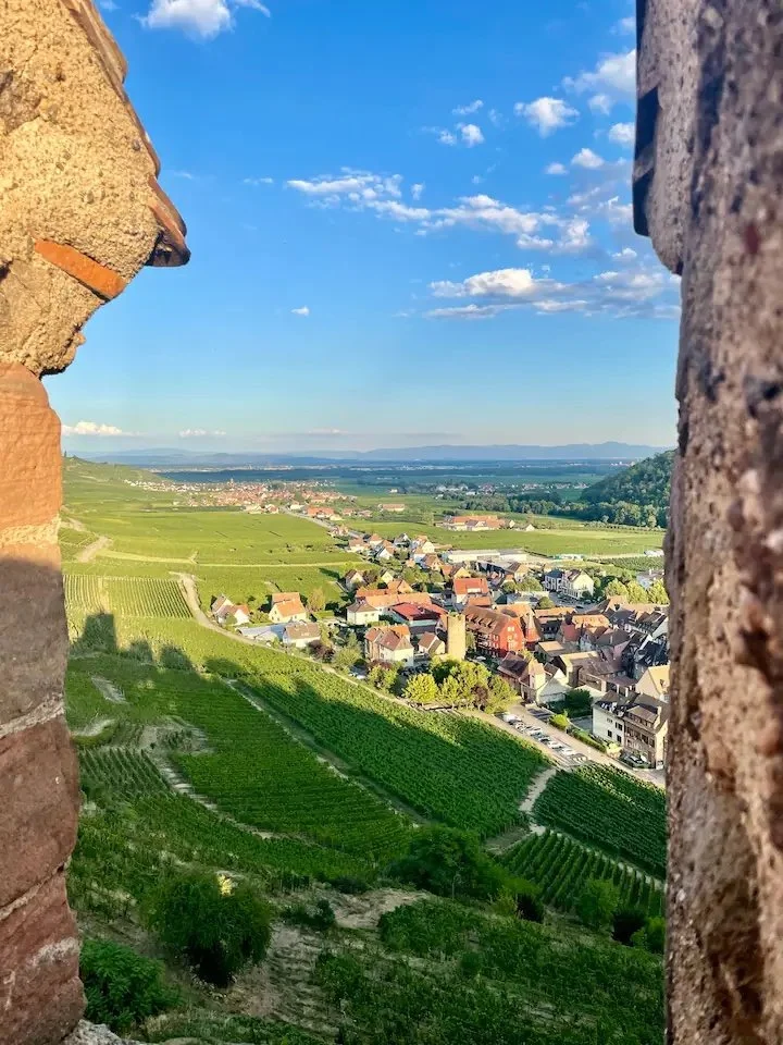 Vue sur le vignoble alsacien depuis le château de Kaysesberg