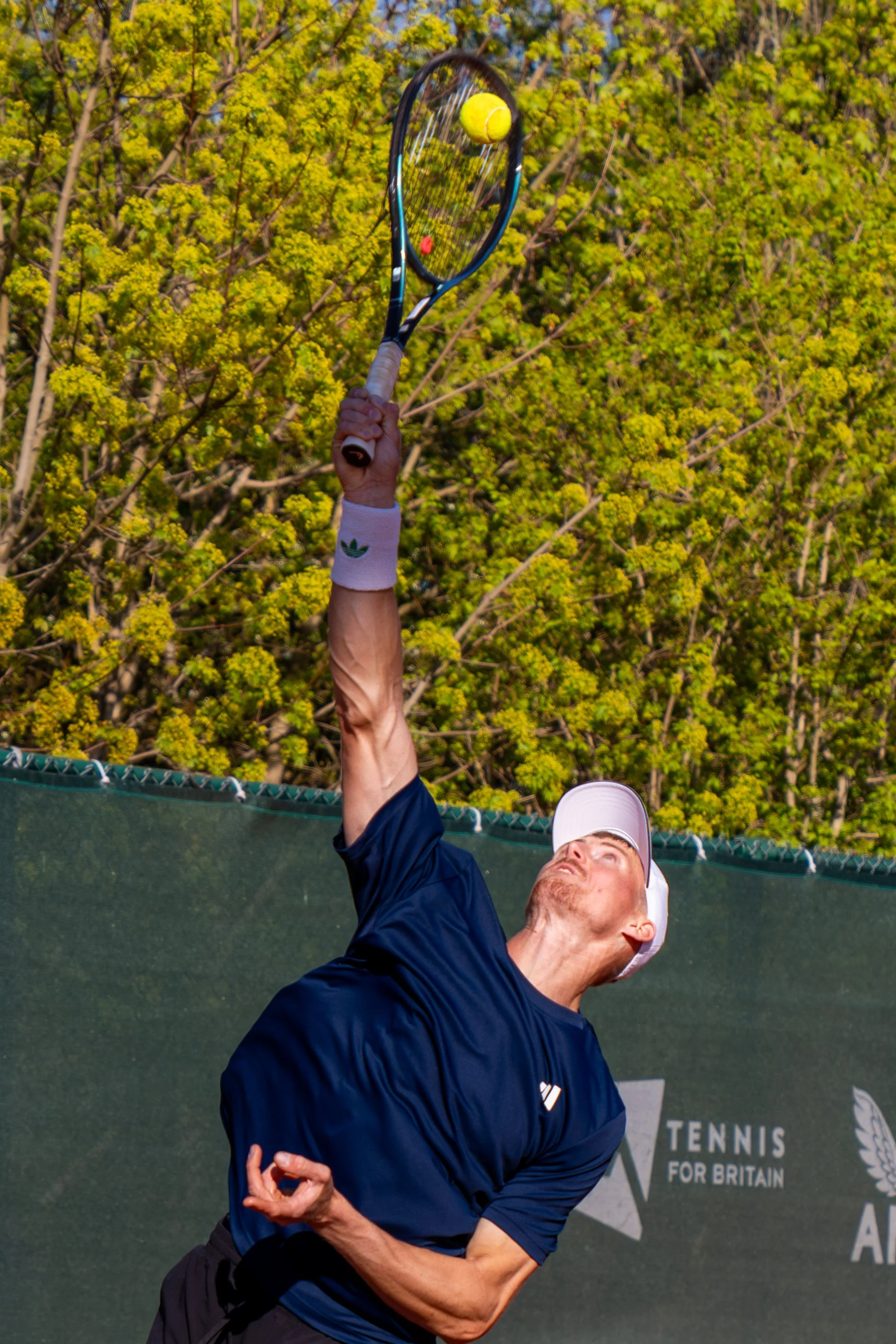 A man in a navy blue shirt and white baseball cap playing tennis, hitting a yellow tennis ball with a racket against a green background with trees.