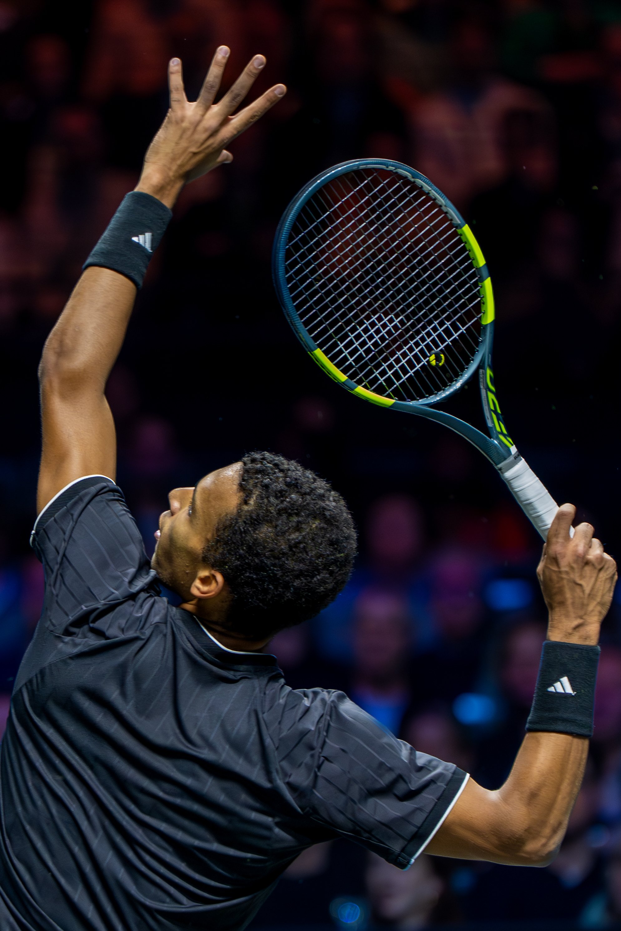 Felix Auger-Aliassime preparing to serve on an indoor court.