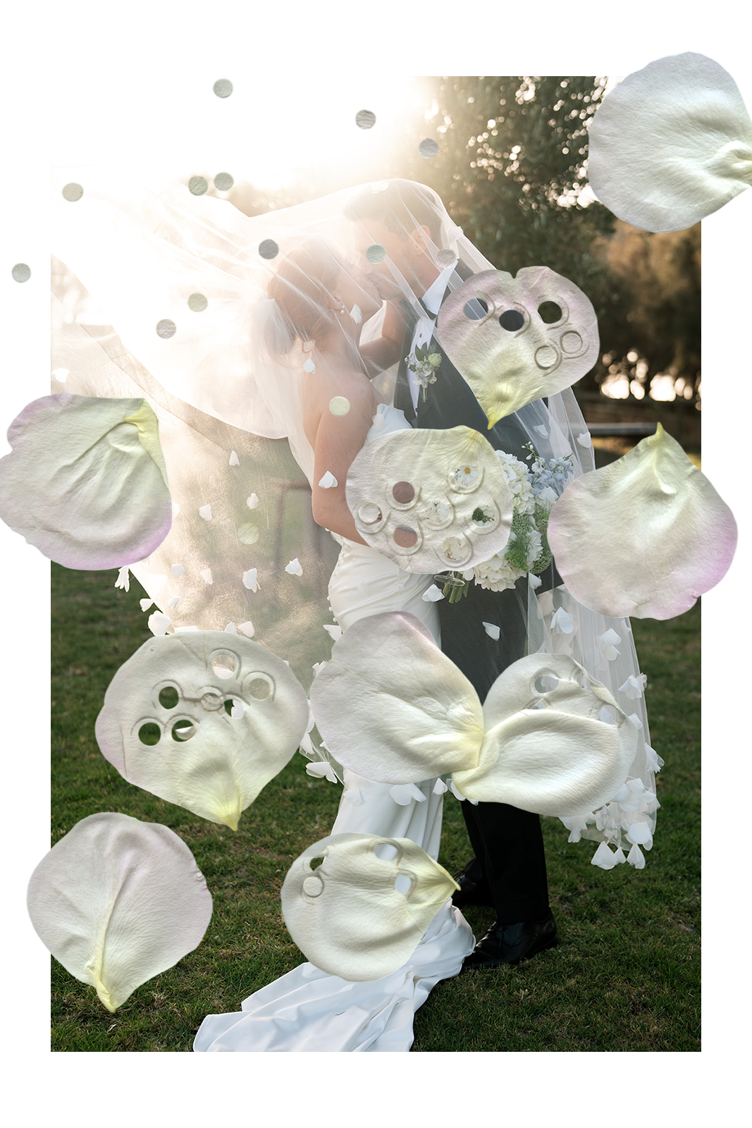 A bride and groom sharing a kiss outdoors during sunset, surrounded by white flower petals and confetti.
