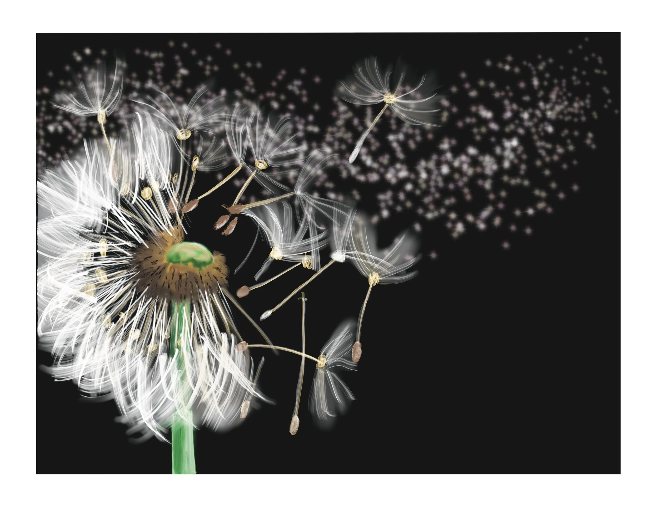 Invisible Kindness