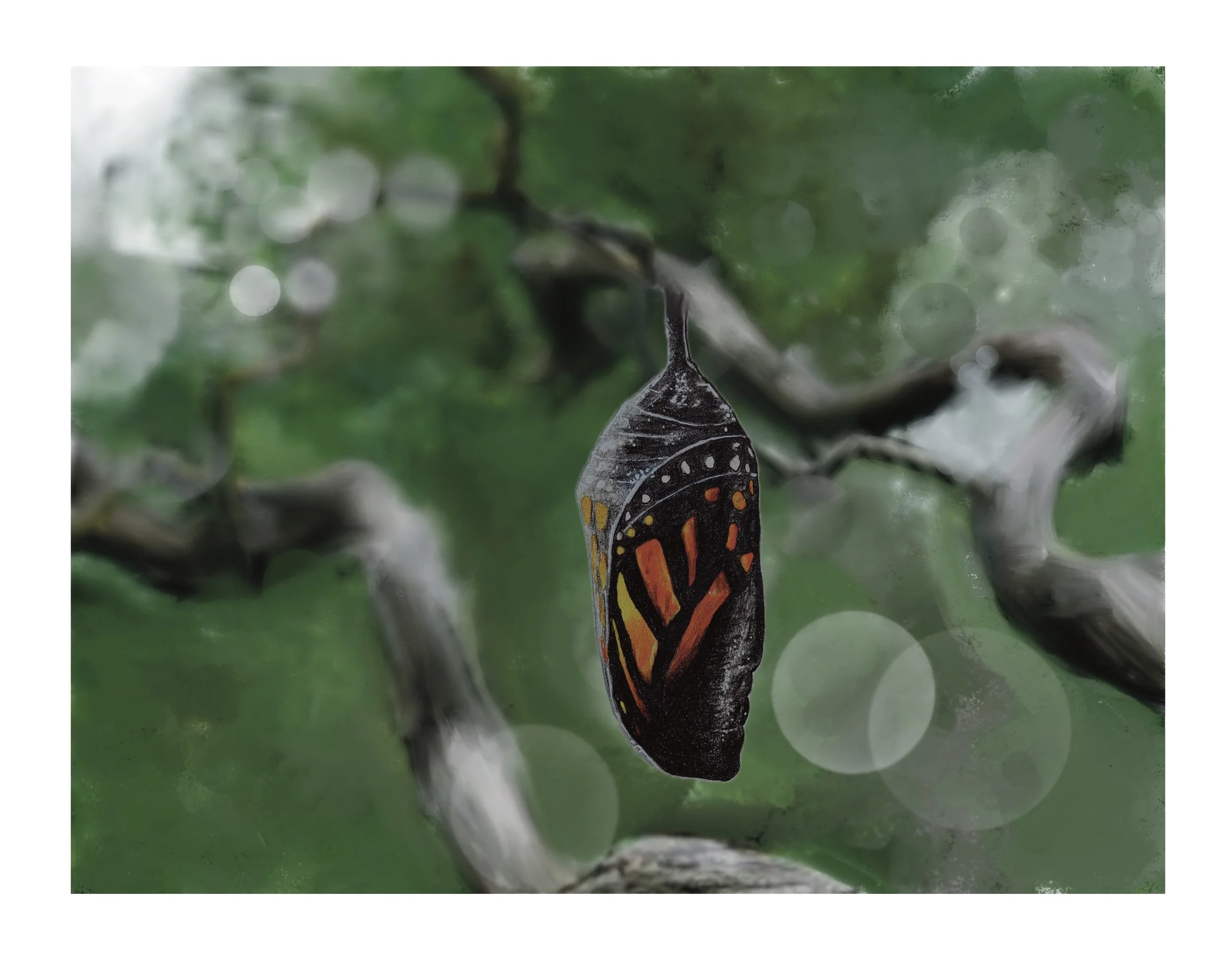 Transformation Journey
