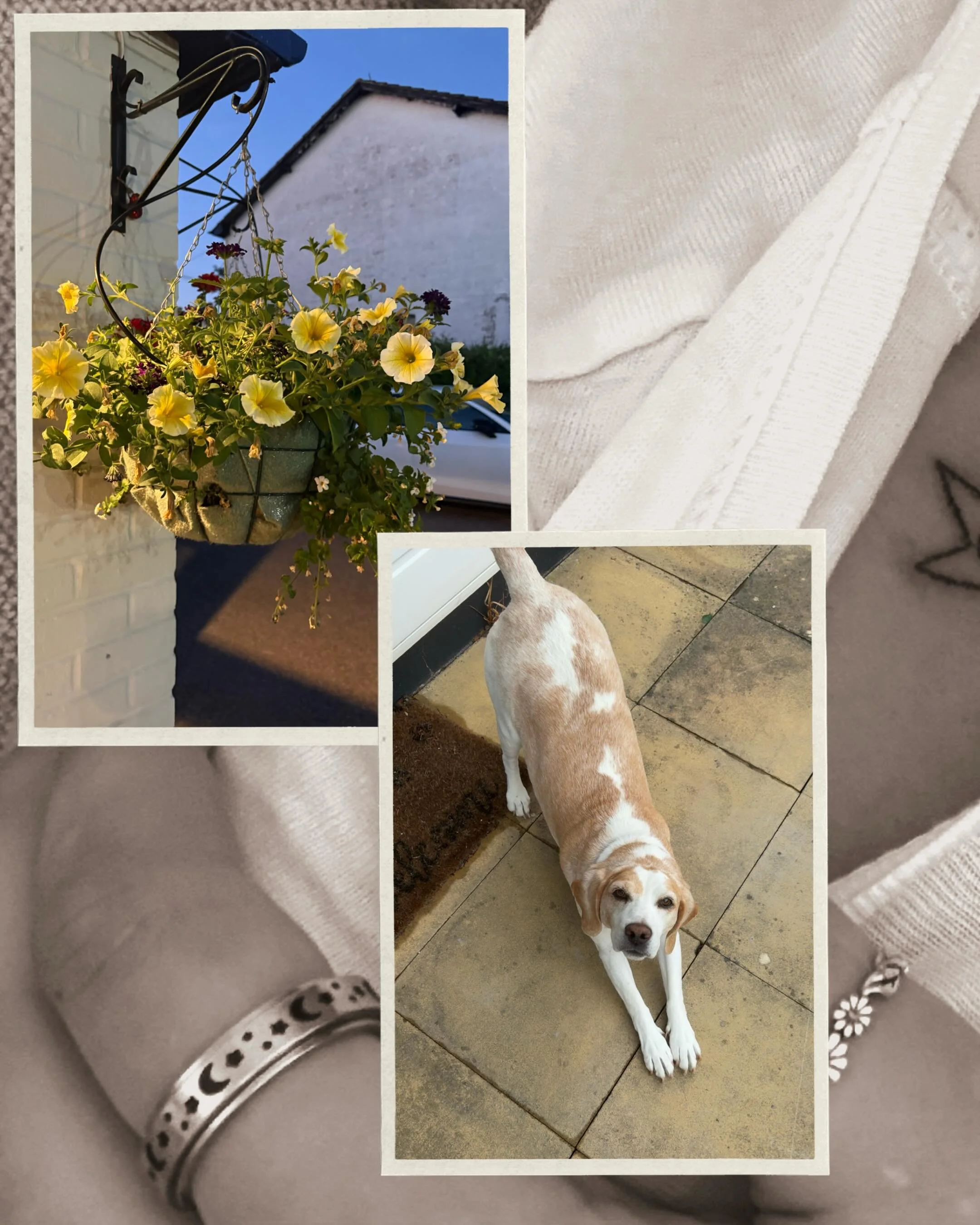 A week in the home town⭐️
I can&rsquo;t lie, it my hometown holds a lot for me and it&rsquo;s always bittersweet returning + can be challenging at times, but it holds most of my favourite people and I luvvvv my people <3 
Retuning to Surrey (well 