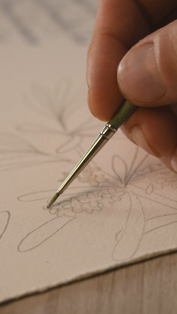Watercolor artist Francesco Di Giuseppe sketching an affirmarelle with a pencil sketch and masking fluid on cotton paper, showing the raw creative process.