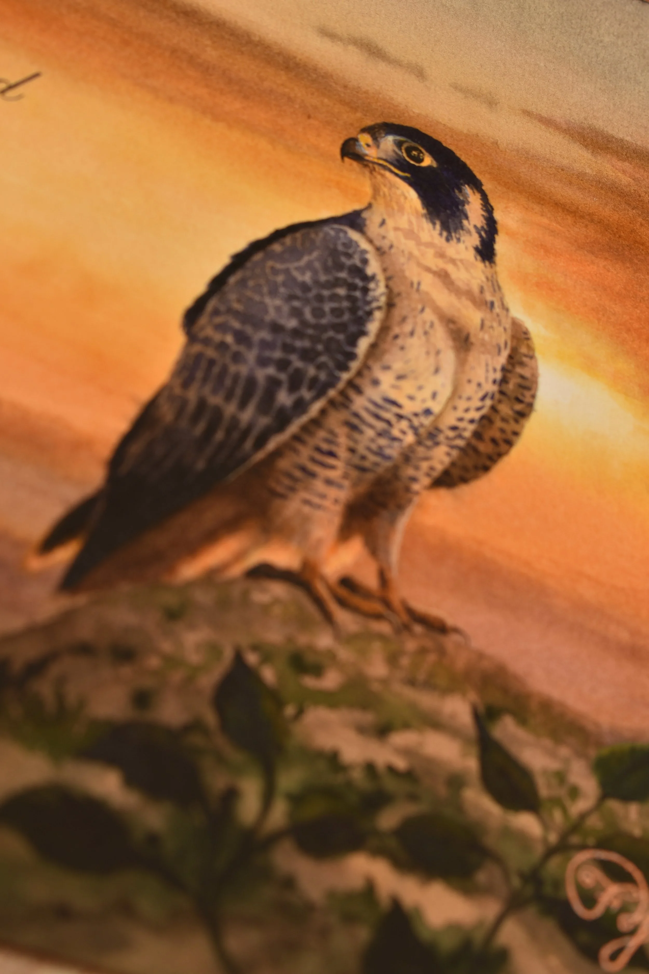 The Right Path - Detail of Falcon