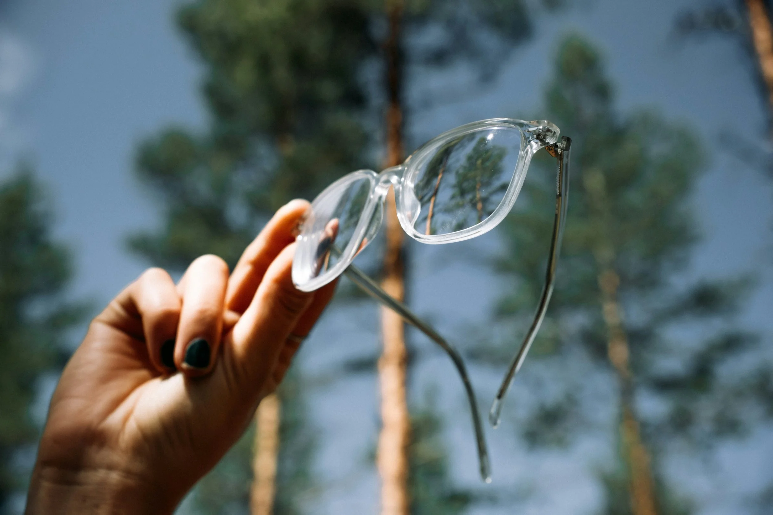 A hand with dark-painted nails holds up a pair of clear-framed eyeglasses against a blurred background of tall pine trees, with sunlight reflecting in the lenses.