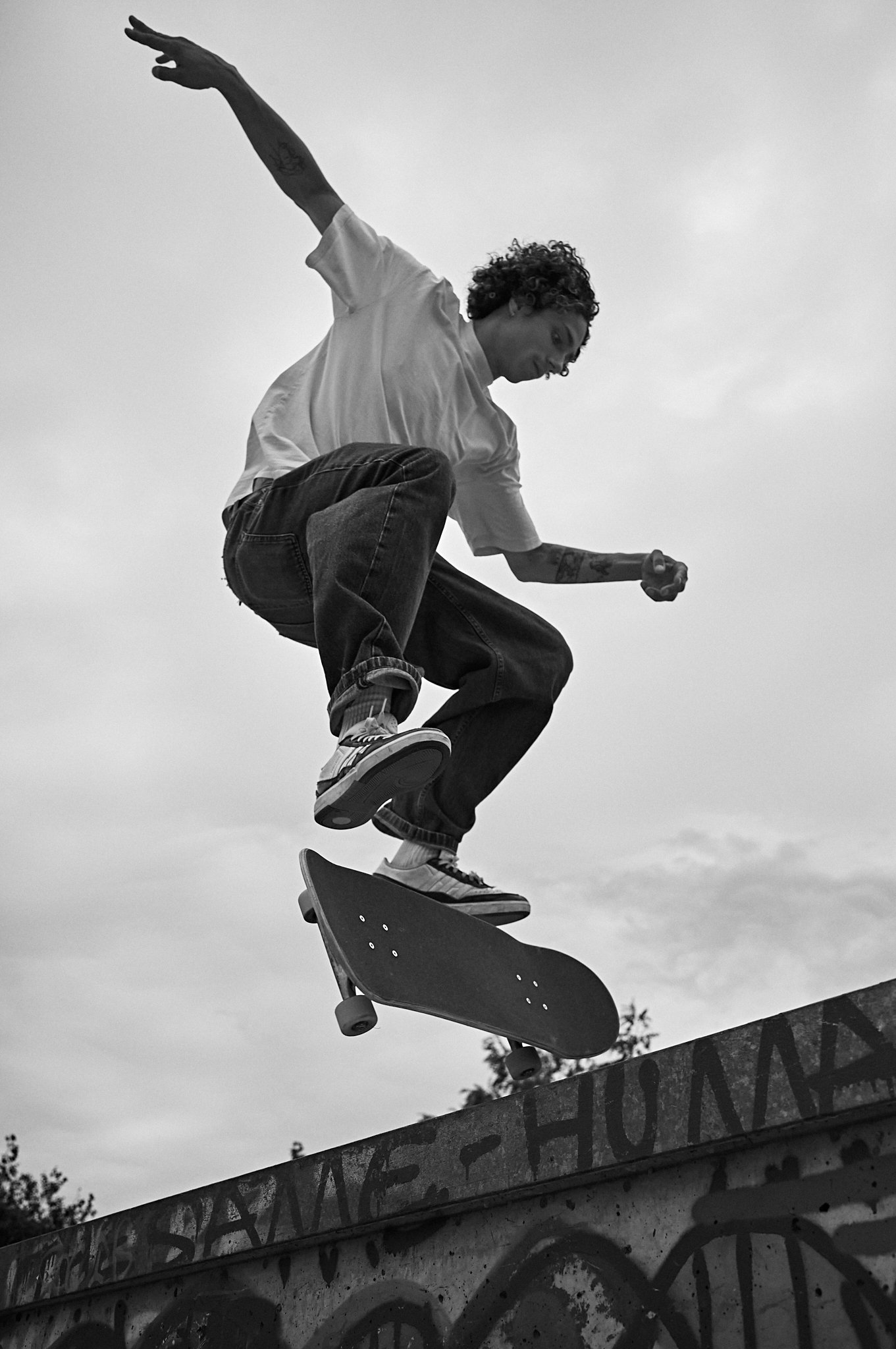 4_S1002364.jpg