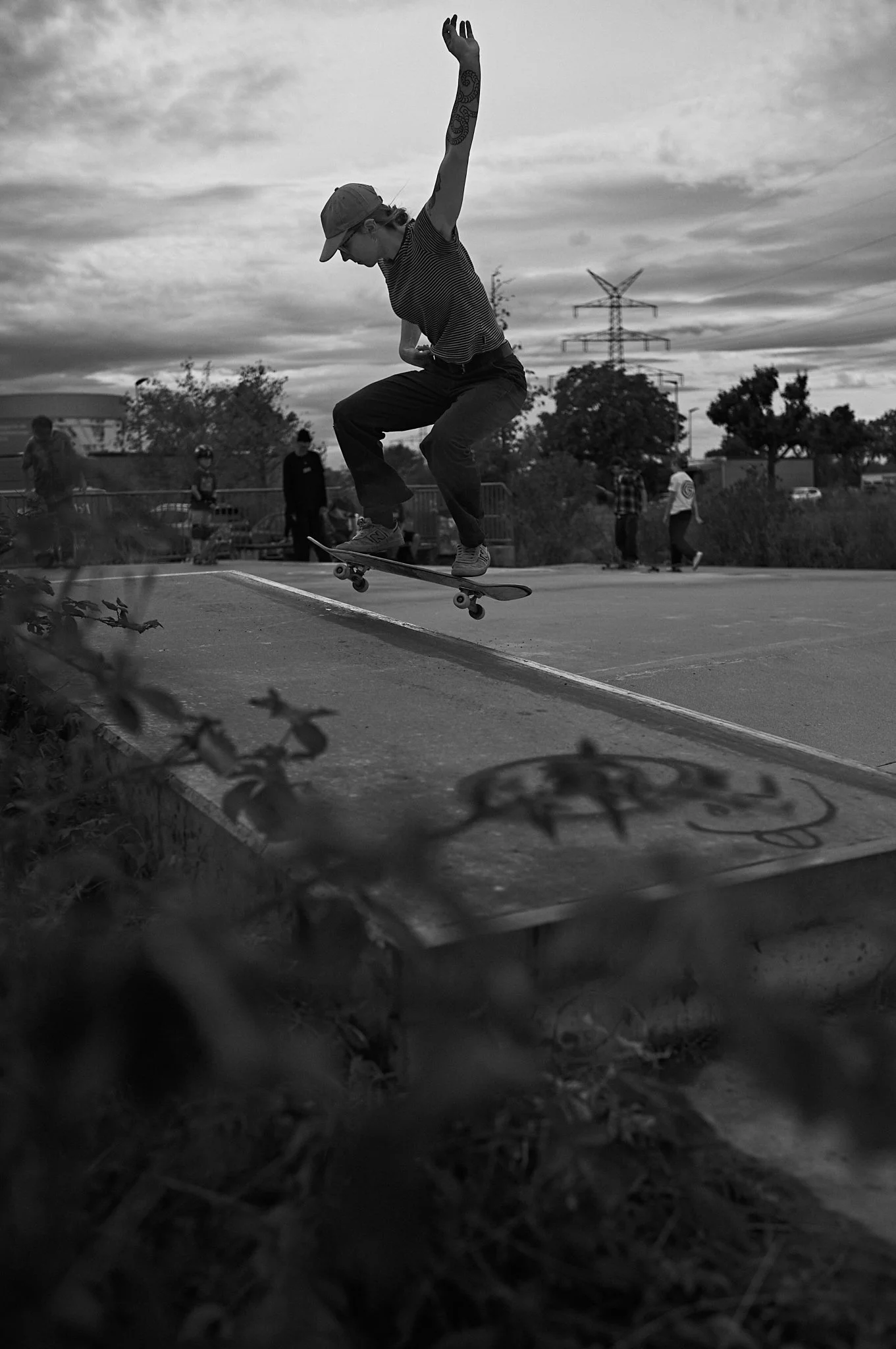 2_S1001681.jpg