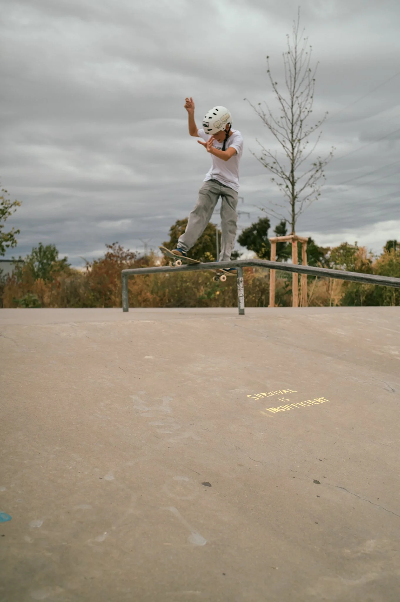 1_S1002291.jpg