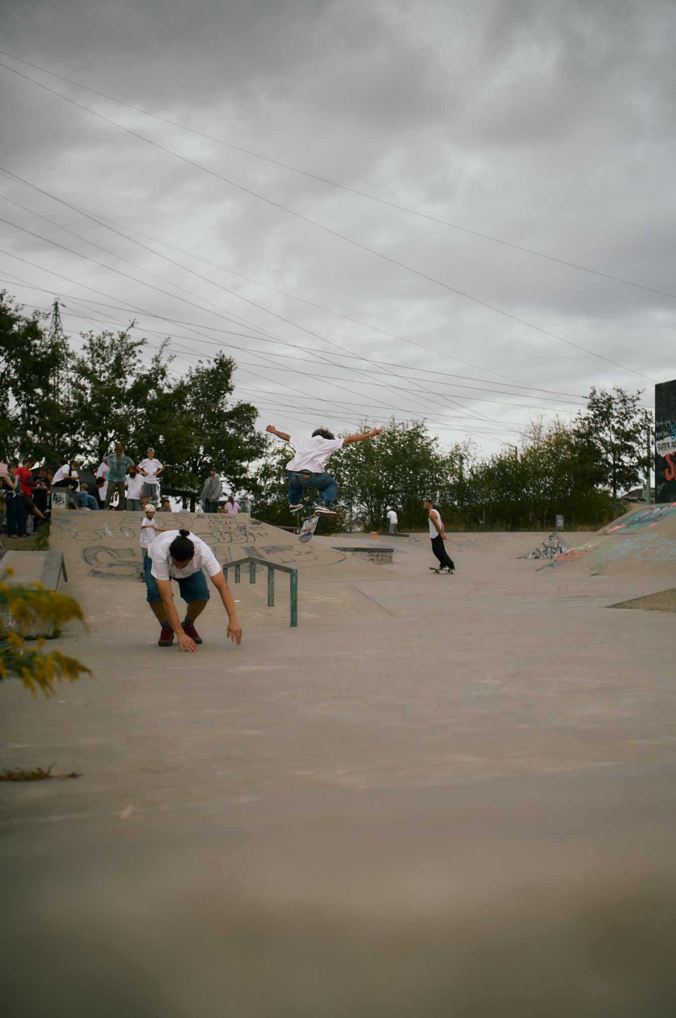 1_S1002137.jpg