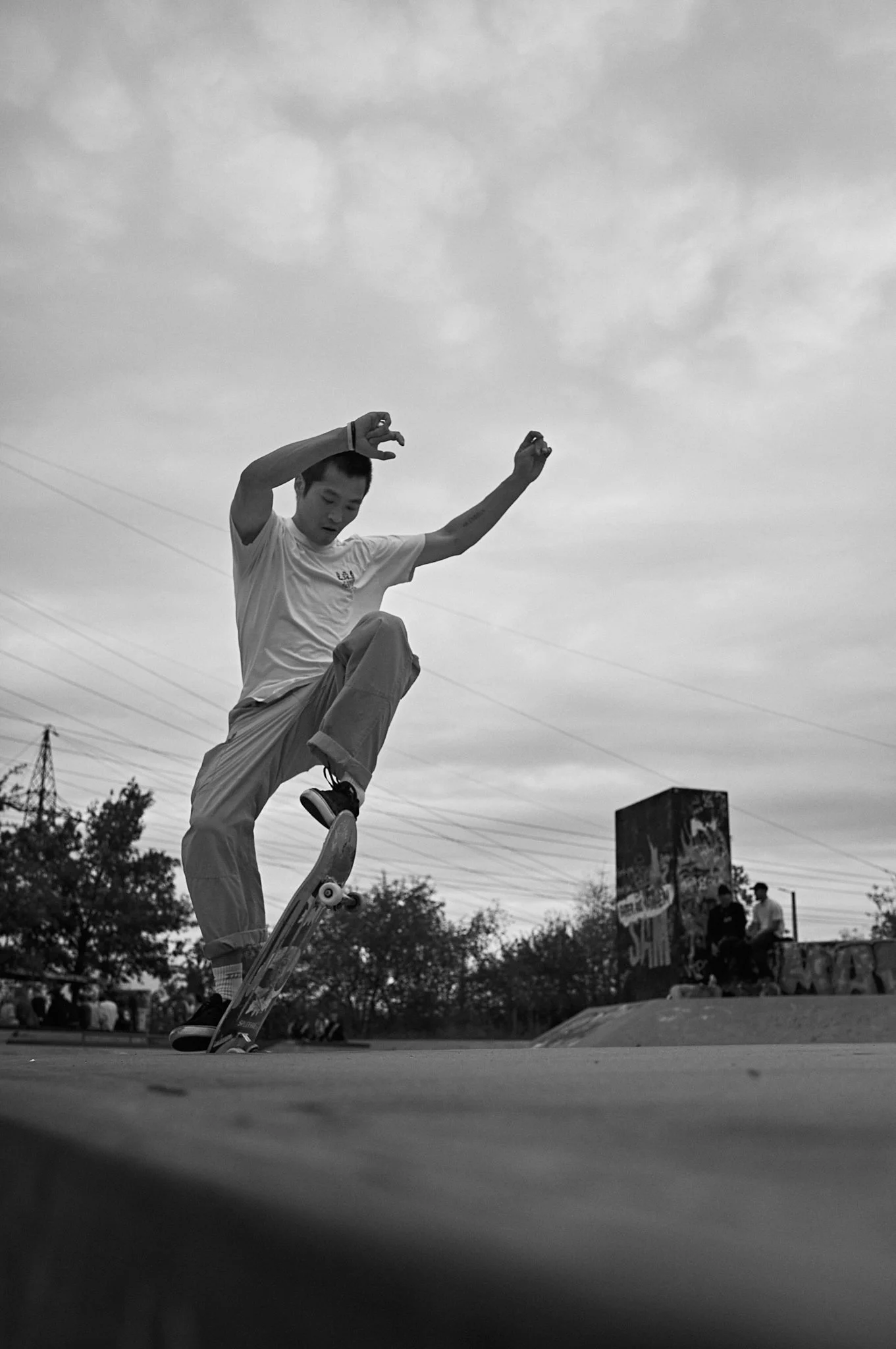 2_S1002323.jpg