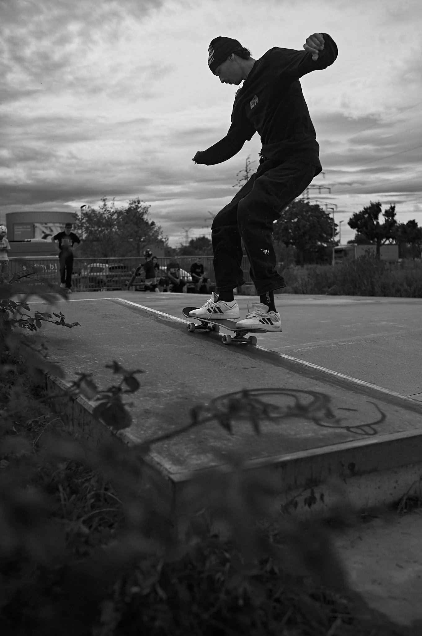 2_S1001678.jpg