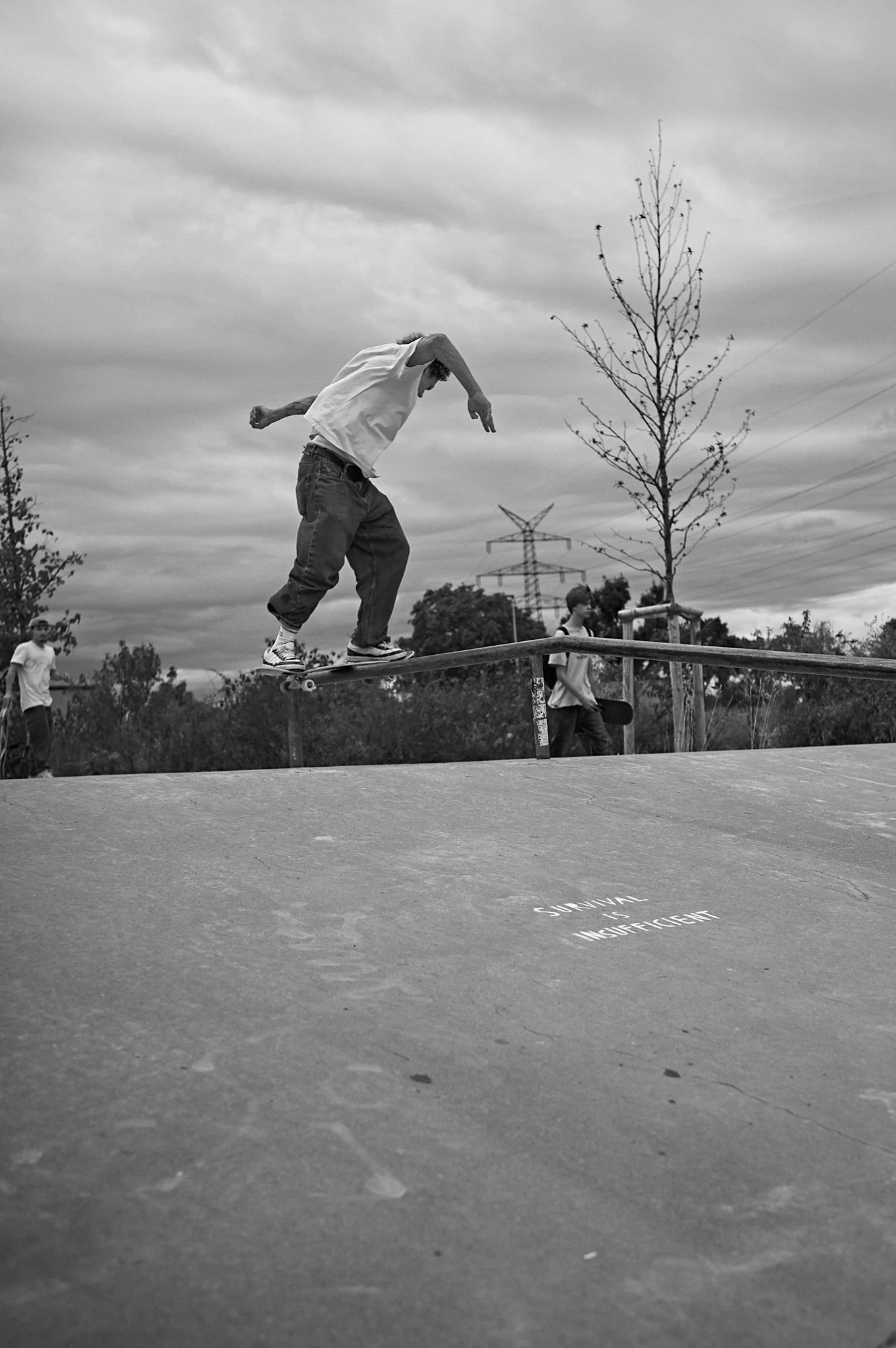 2_S1002287.jpg