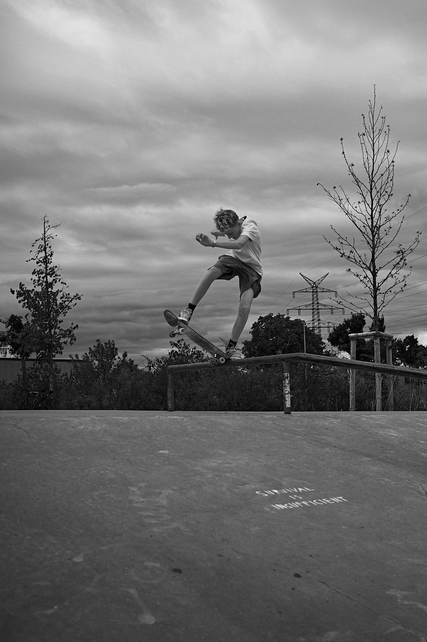 1_S1002311.jpg