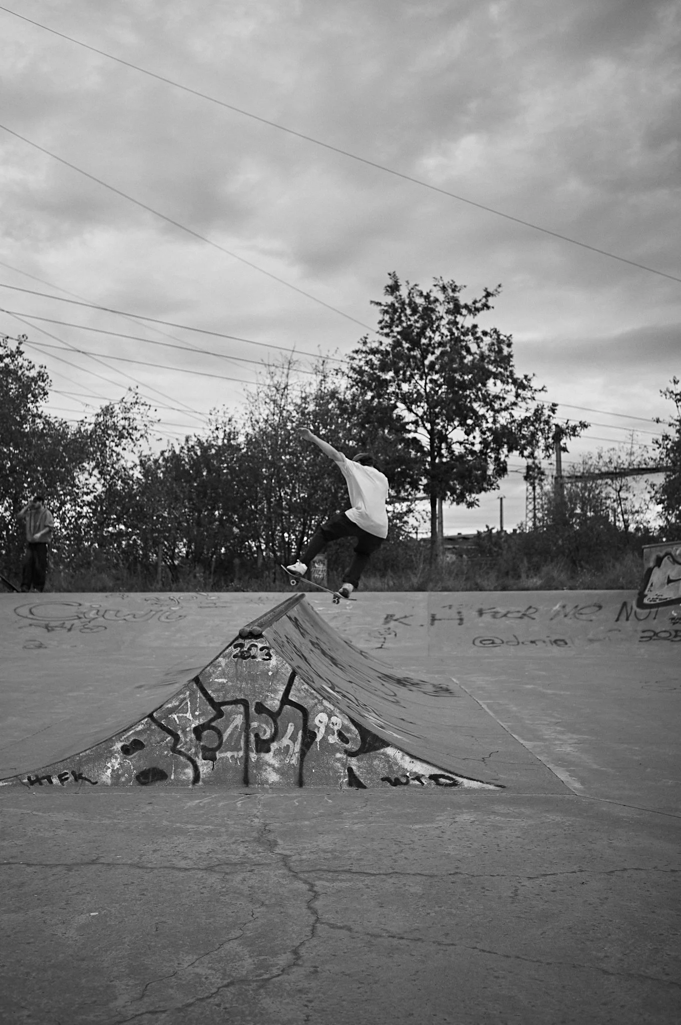 1_S1002219.jpg