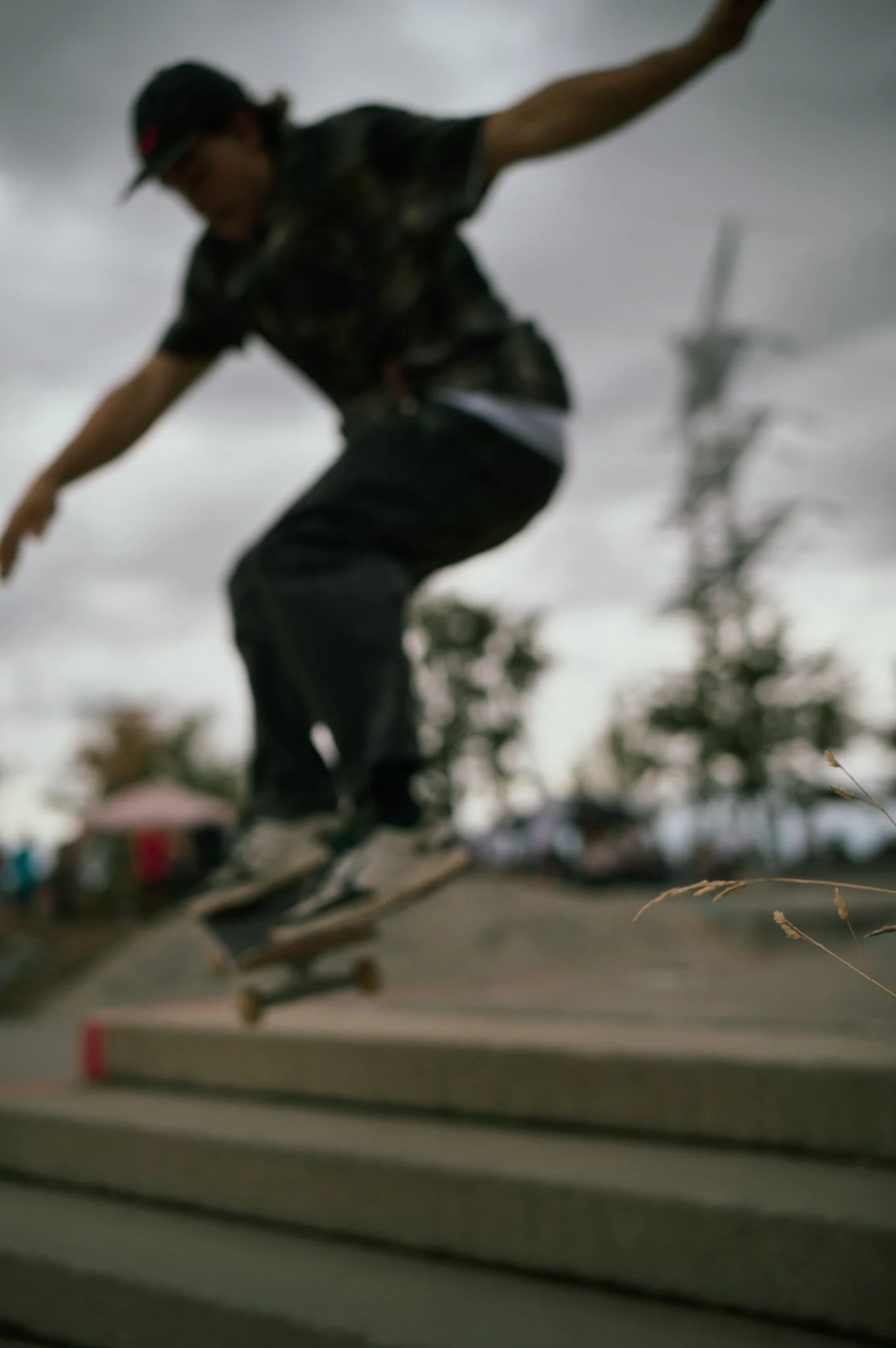 2_S1002019.jpg