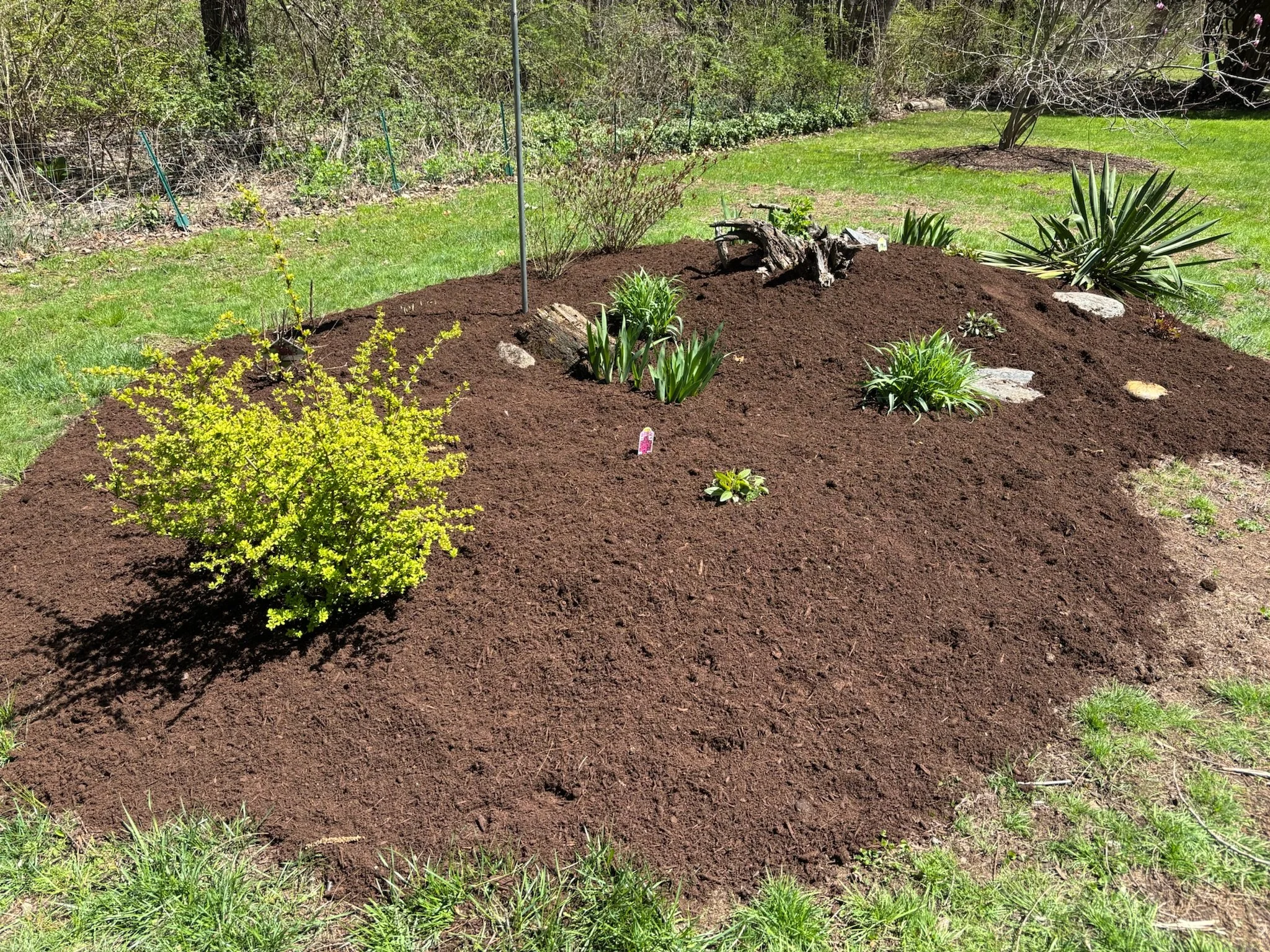 Flower bed with dark mocha pine mulch