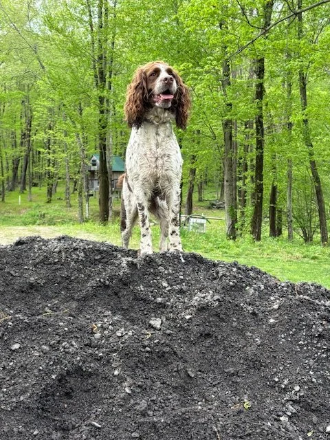 Lenny and her gravel pile