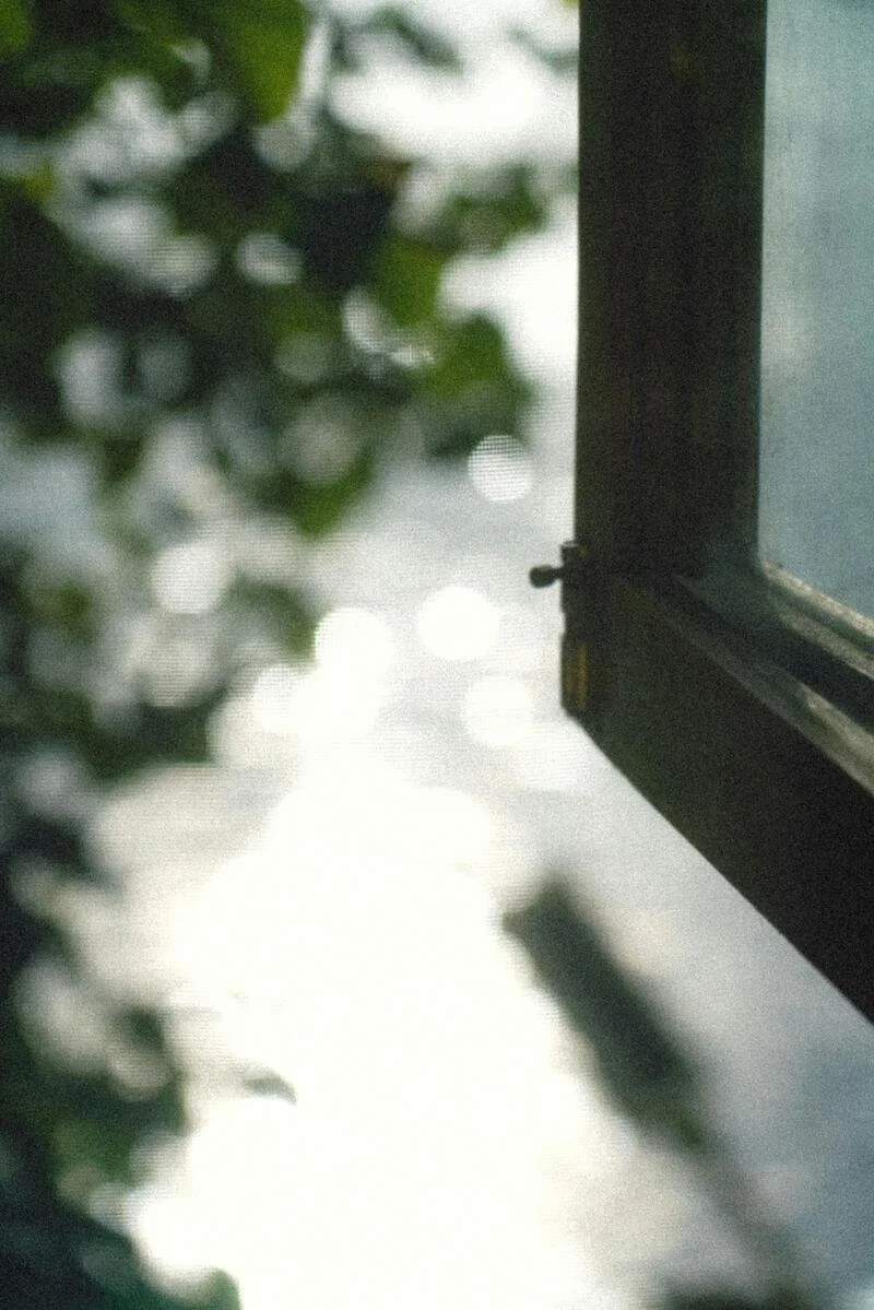 Partially opened window with green leaves and bright light outside.
