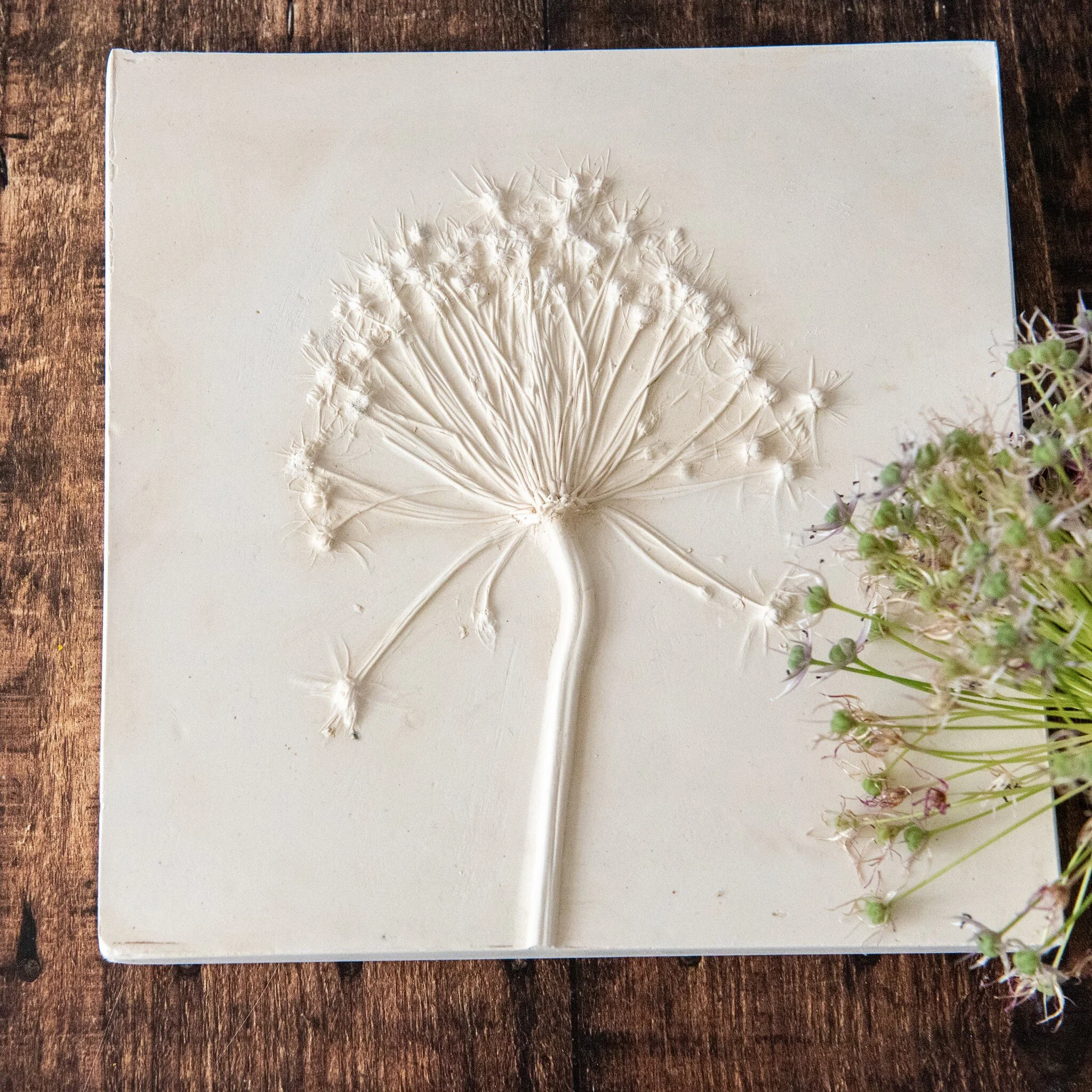 https://i.etsystatic.com/23231330/r/il/0538f8/2408420804/il_fullxfull.2408420804_80b9.jpg