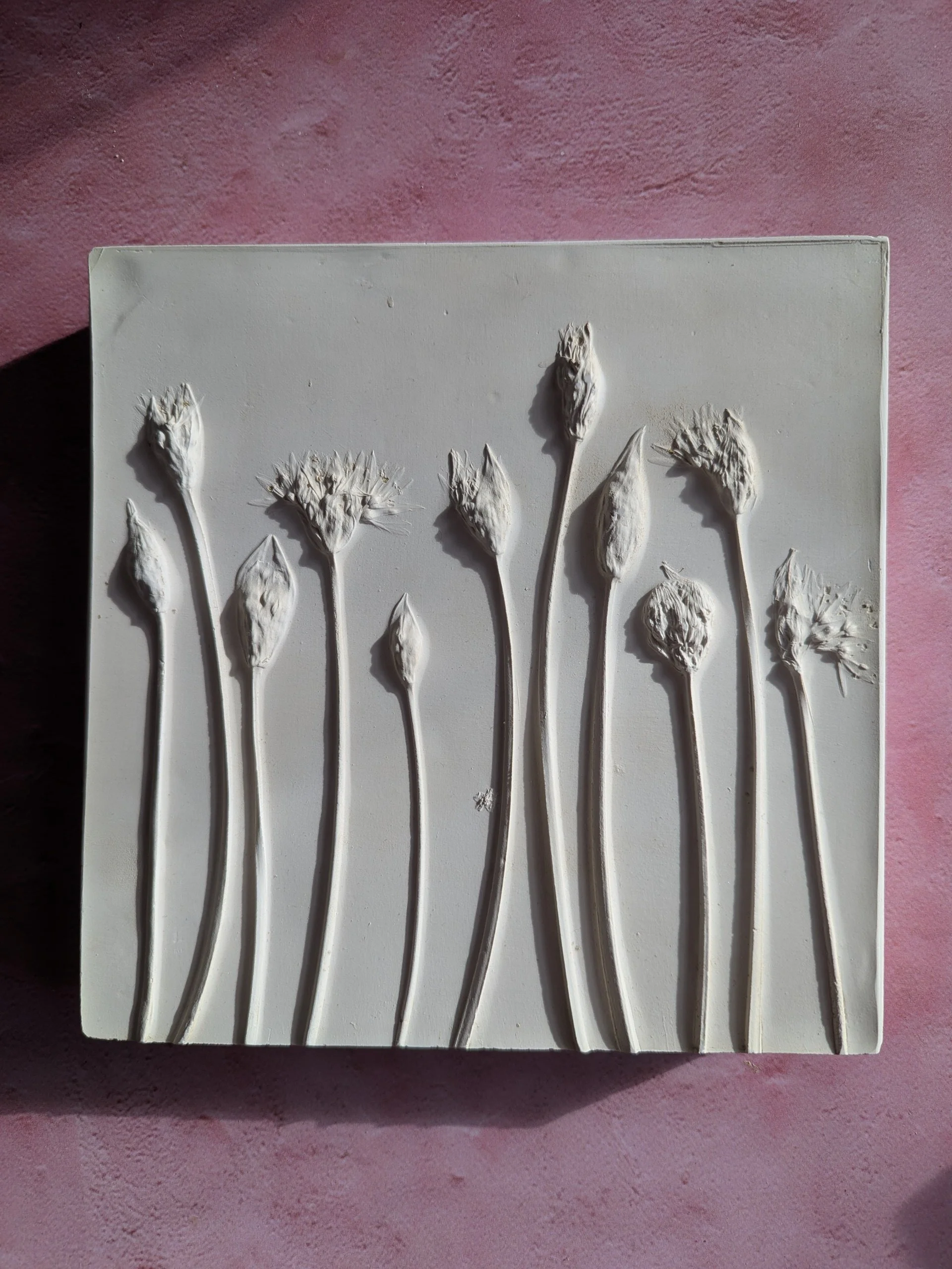 Wild Garlic Botanical Bas-relief in plaster 19 x 19 cm