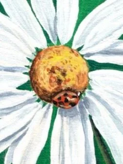 Lady+Bug_Ankirskiy_2025_72dpi.jpg
