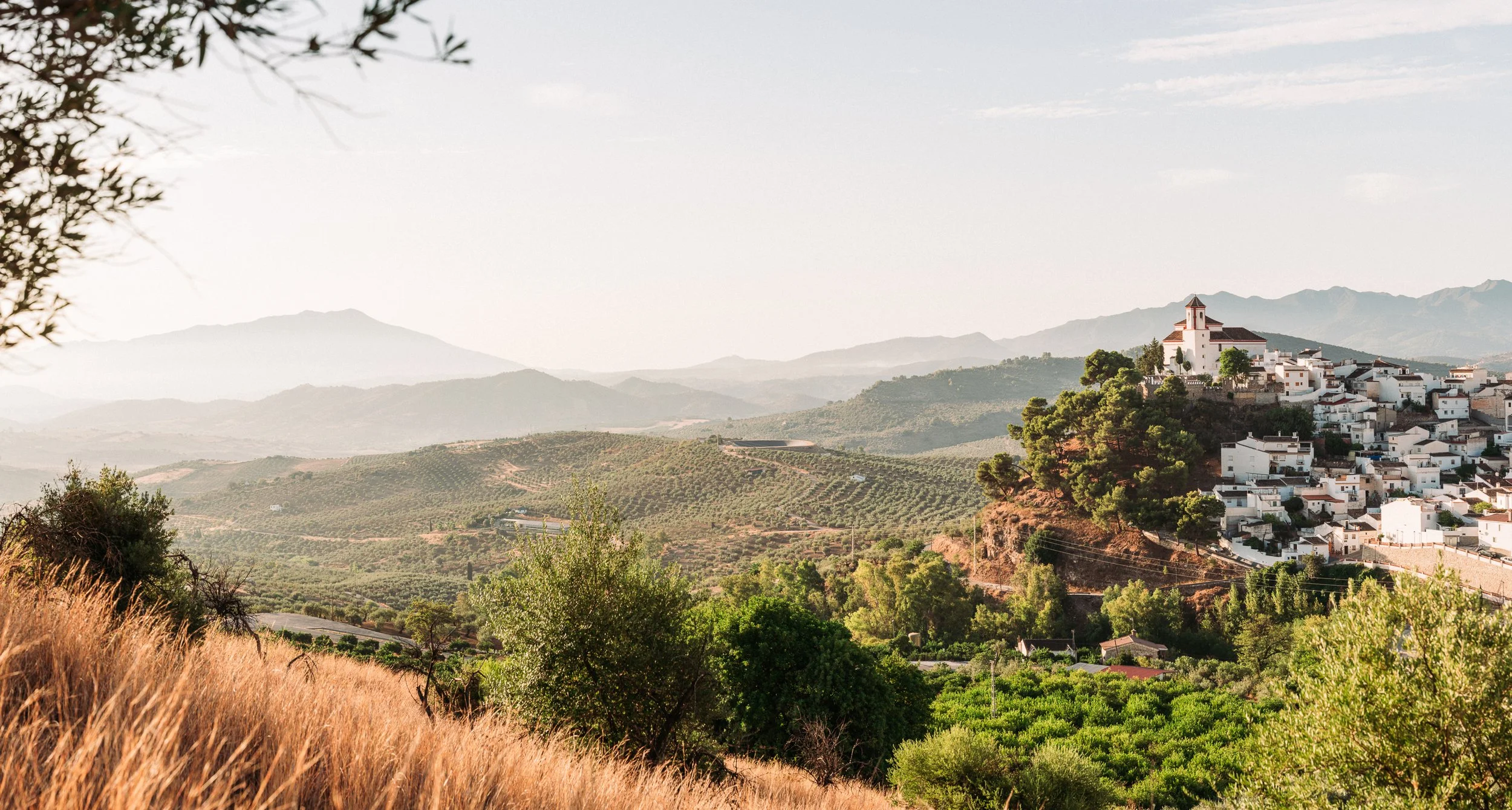 ArtisanPhoto Los Olivos_web--3.jpg