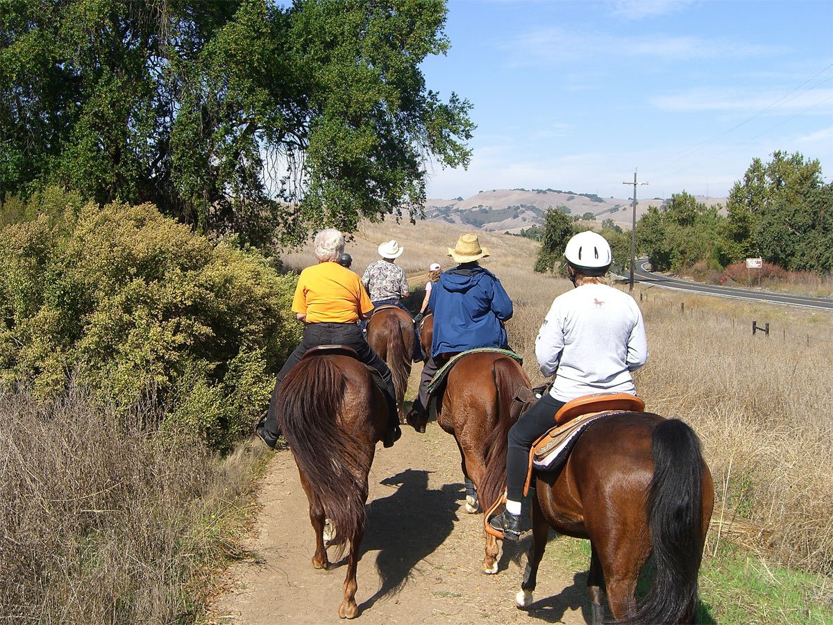 Calero-Park.jpg