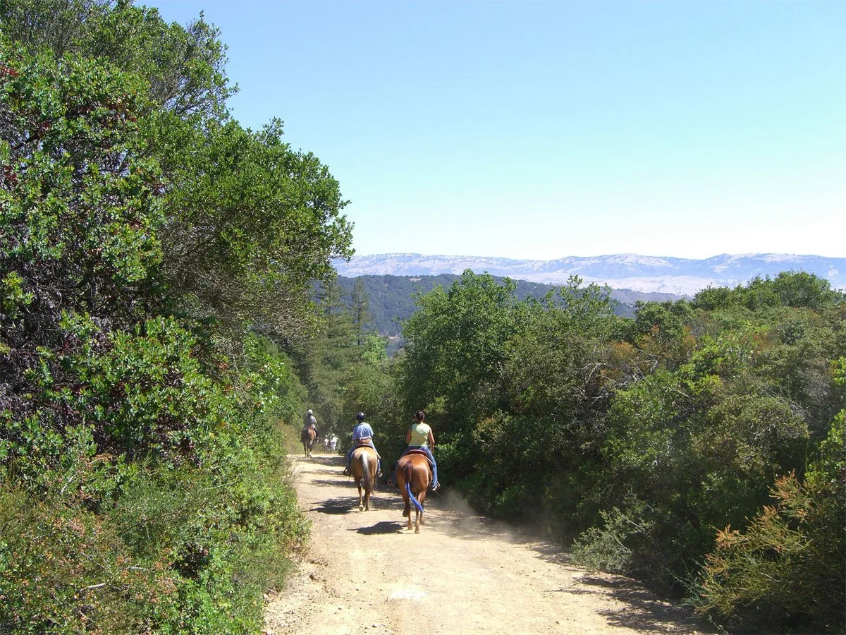 Mt-Madonna-Trail-RideD.jpg