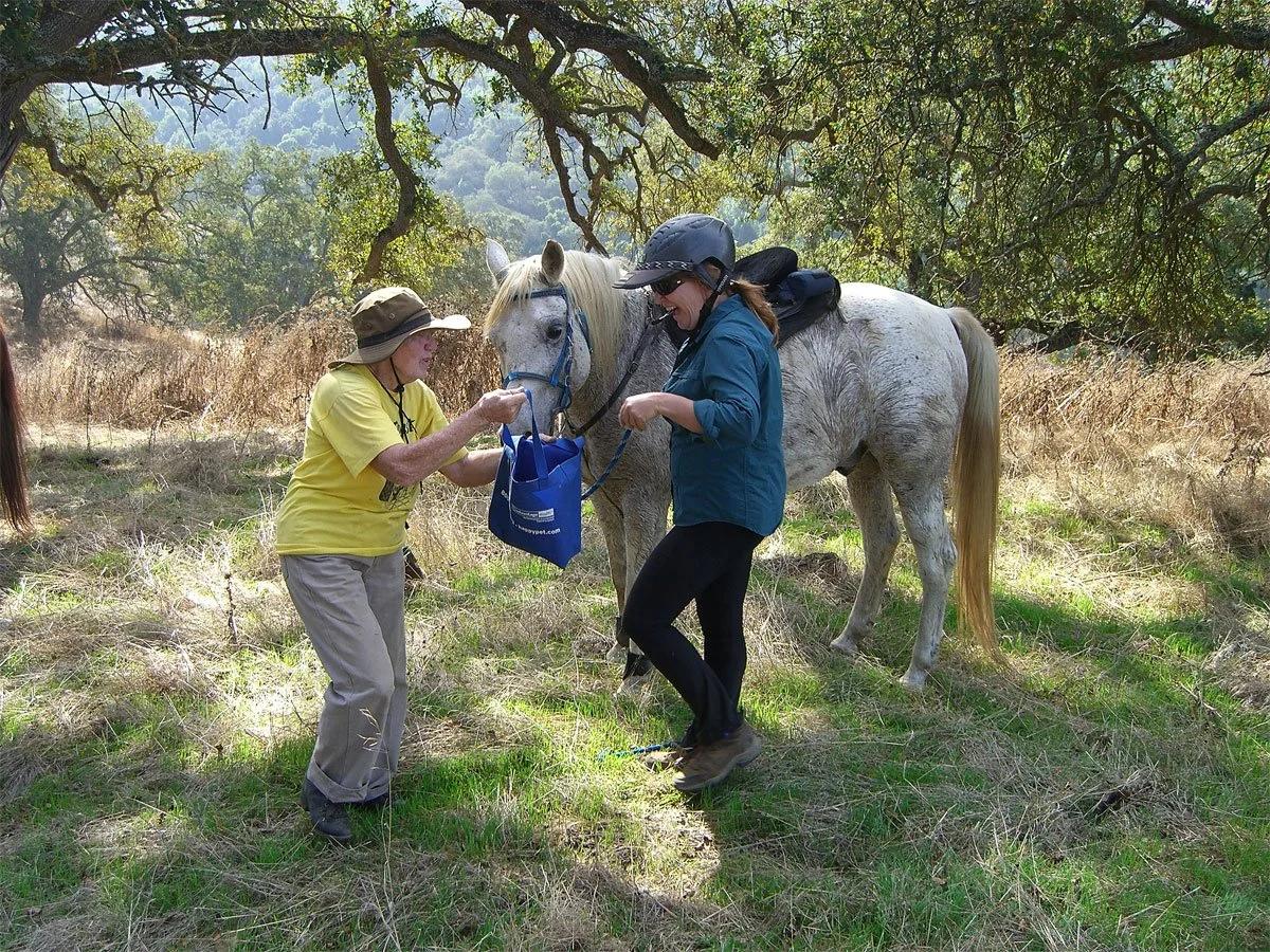 Calero-Park-A.jpg