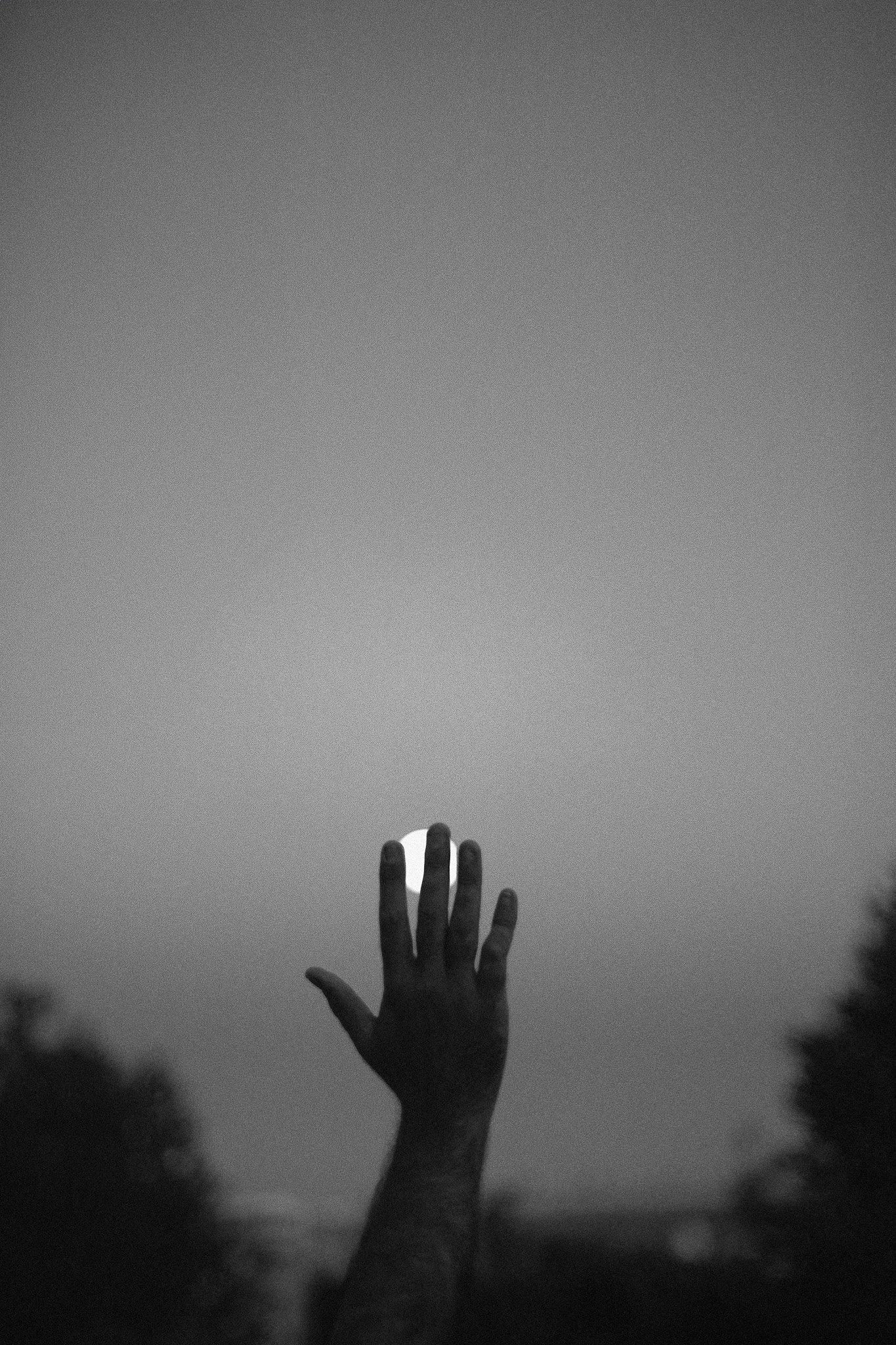 Main tendue vers le ciel en noir et blanc, avec un fond de ciel clair et des arbres flous en arrière-plan.