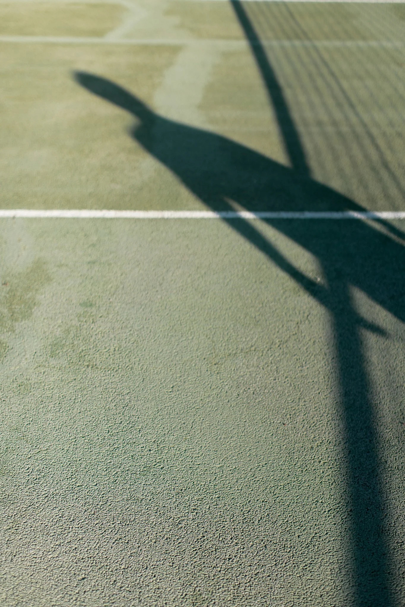 Ombre d'une clôture sur un terrain en surface dure, probablement un court de tennis ou un terrain de sport.