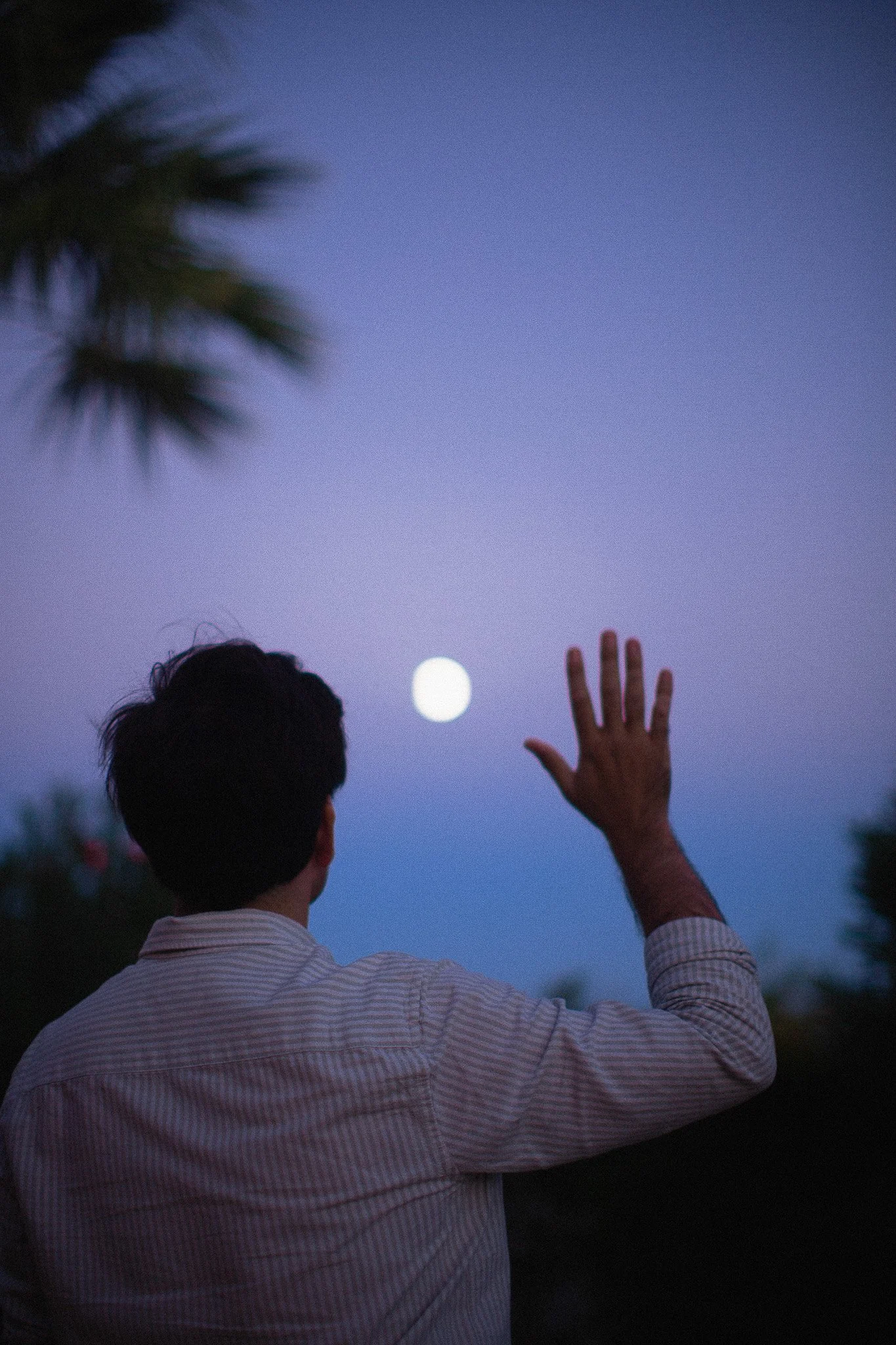 Un homme de dos, en chemise à rayures, fait signe de la main vers le ciel nocturne avec la lune visible en arrière-plan, entouré d'arbres et d'un ciel violet.