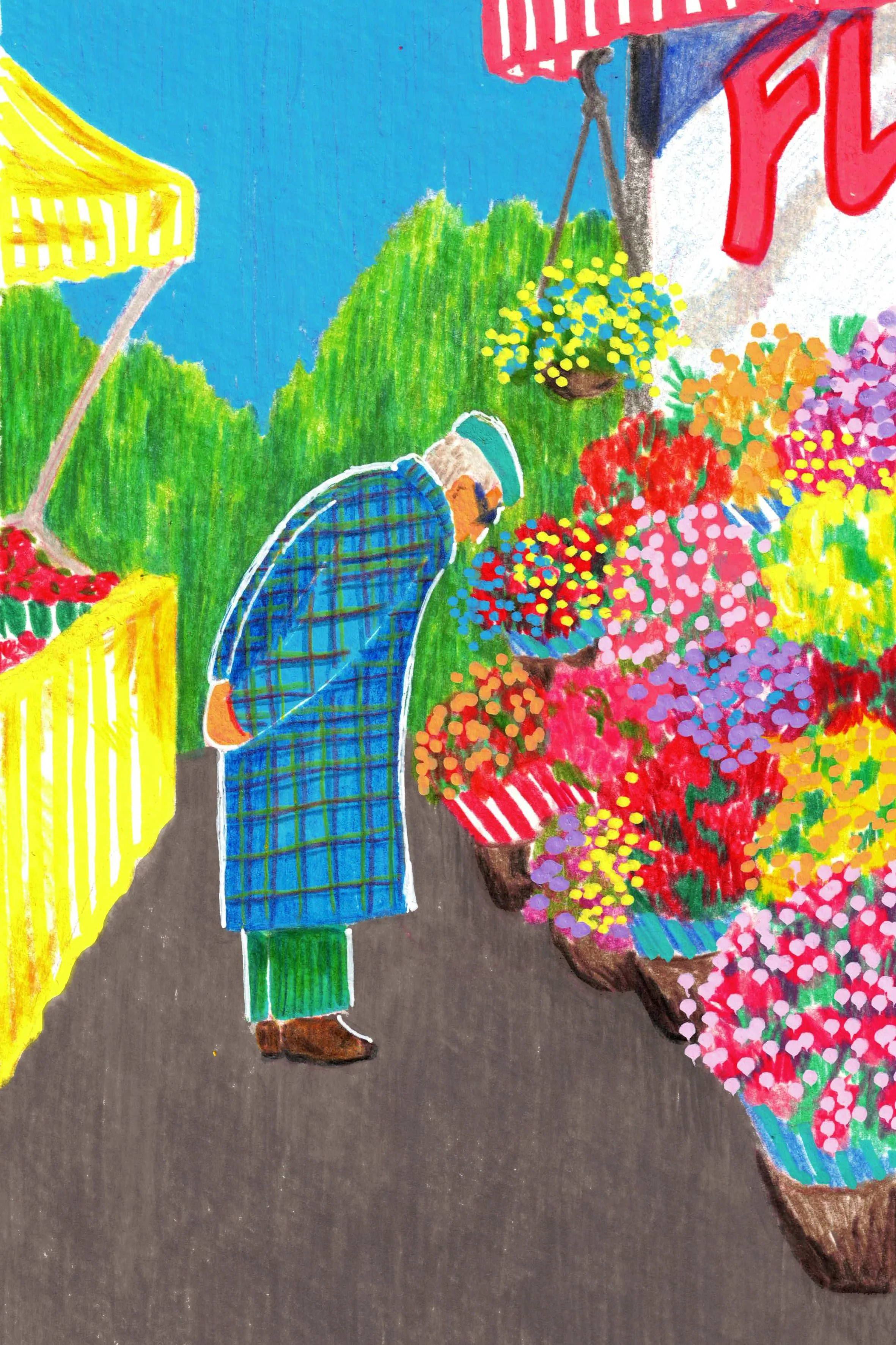 vieux monsieur marché aux fleurs20x30.jpg