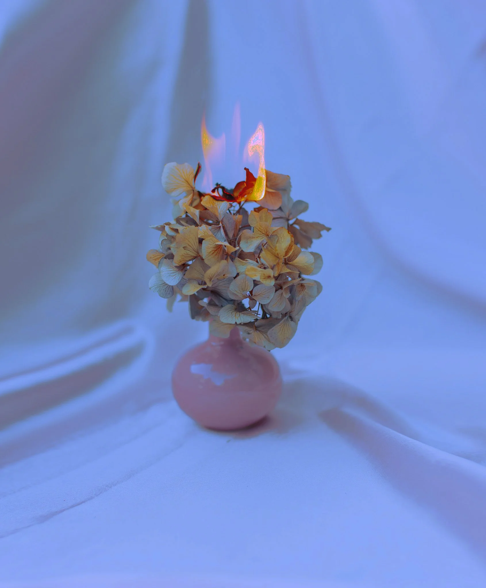 Un bouquet de fleurs fanées dans un vase rose, avec une flamme qui semble sortir de la tige supérieure, sur un fond de tissu blanc avec des teintes bleues métalliques.