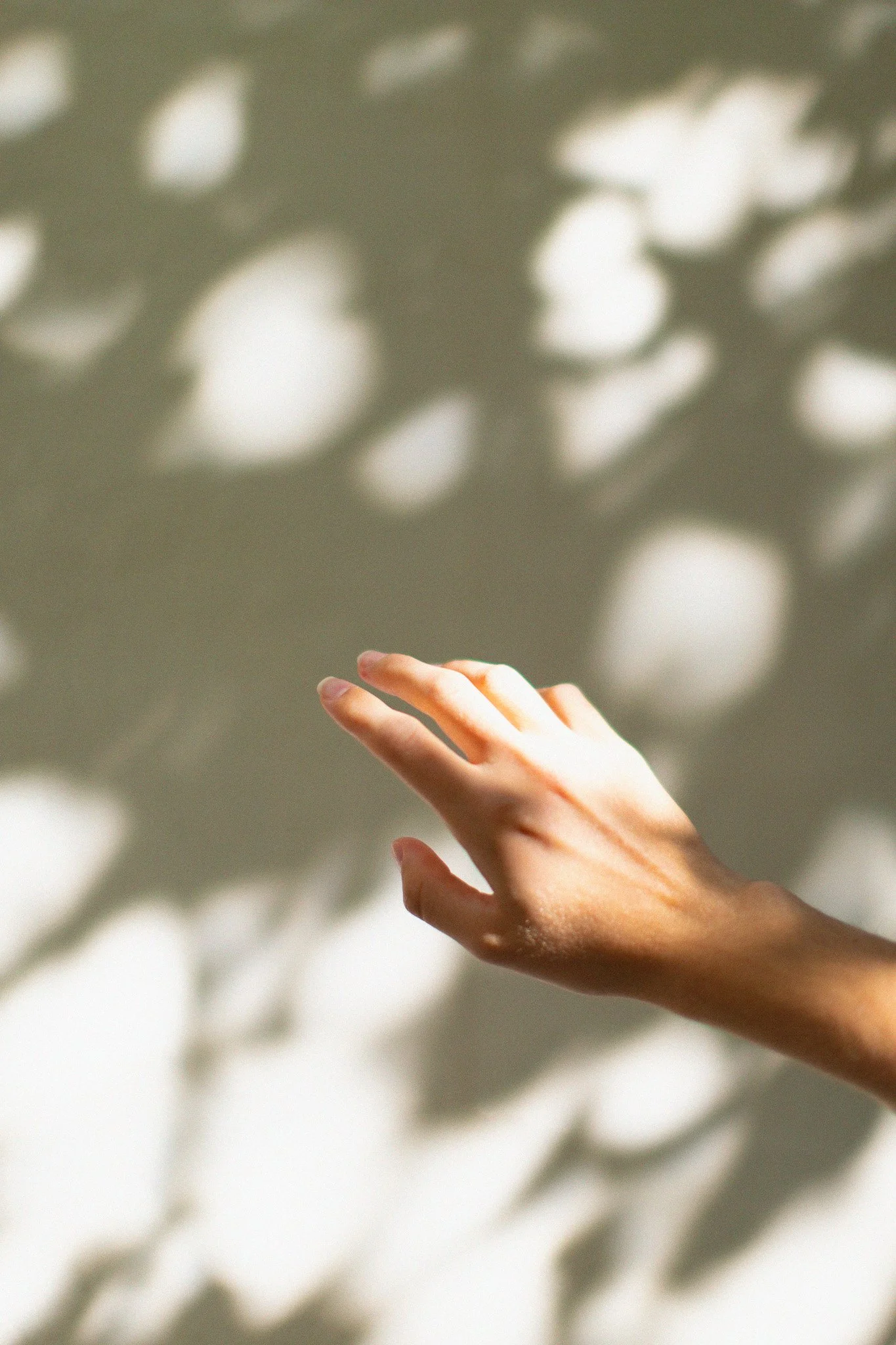 Une main humaine tendue vers l'avant, avec une ombre portée de feuilles ou d'un arbre en arrière-plan, créant des formes floues sur le mur